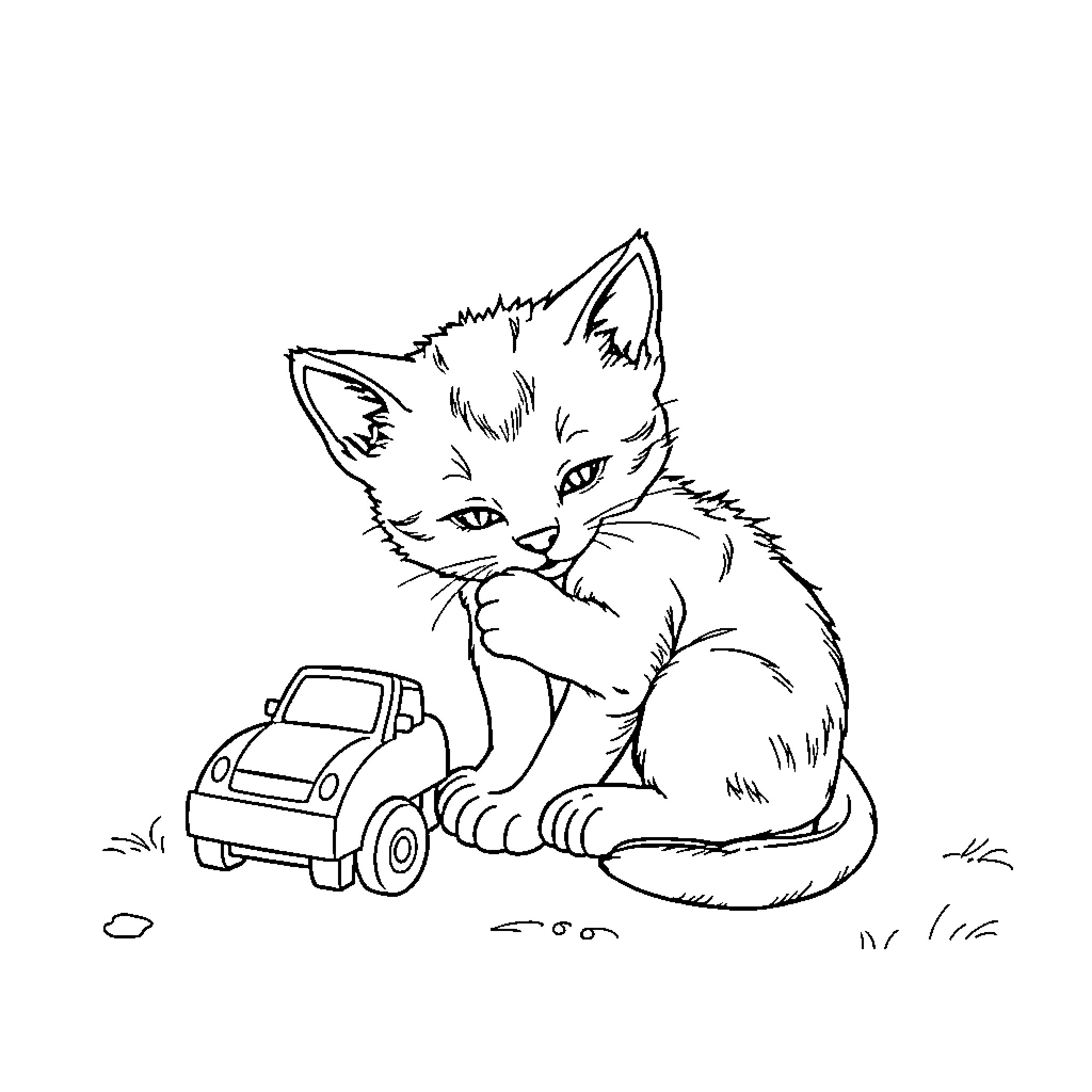 Cat playing with toy car in grass Coloring Page (free black-and-white line drawing printable PDF for all, from beginners to advanced learners, including children, teens, adults, and seniors)