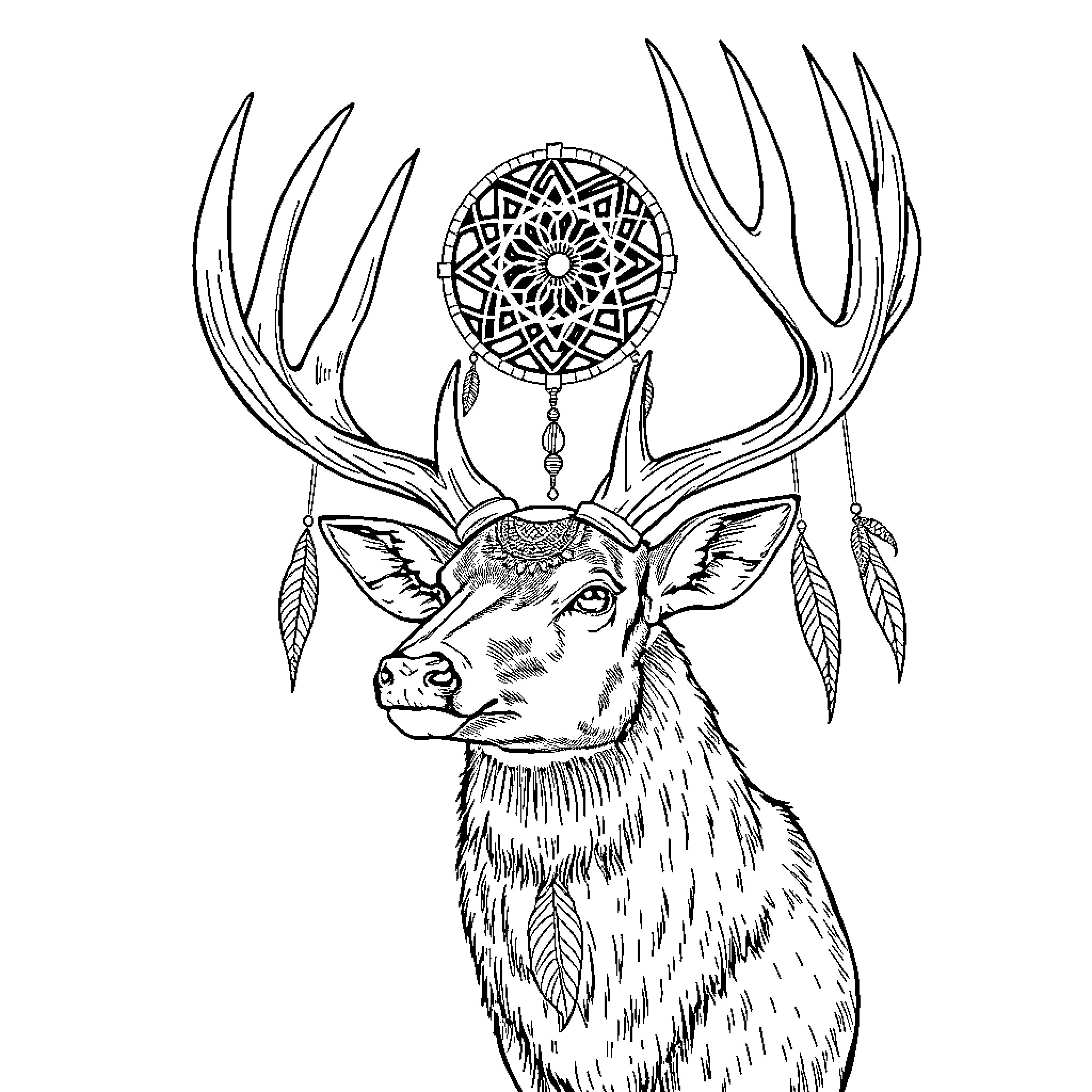 Buck with antlers and dreamcatcher decor Coloring Page (free black-and-white line drawing printable PDF for all, from beginners to advanced learners, including children, teens, adults, and seniors)