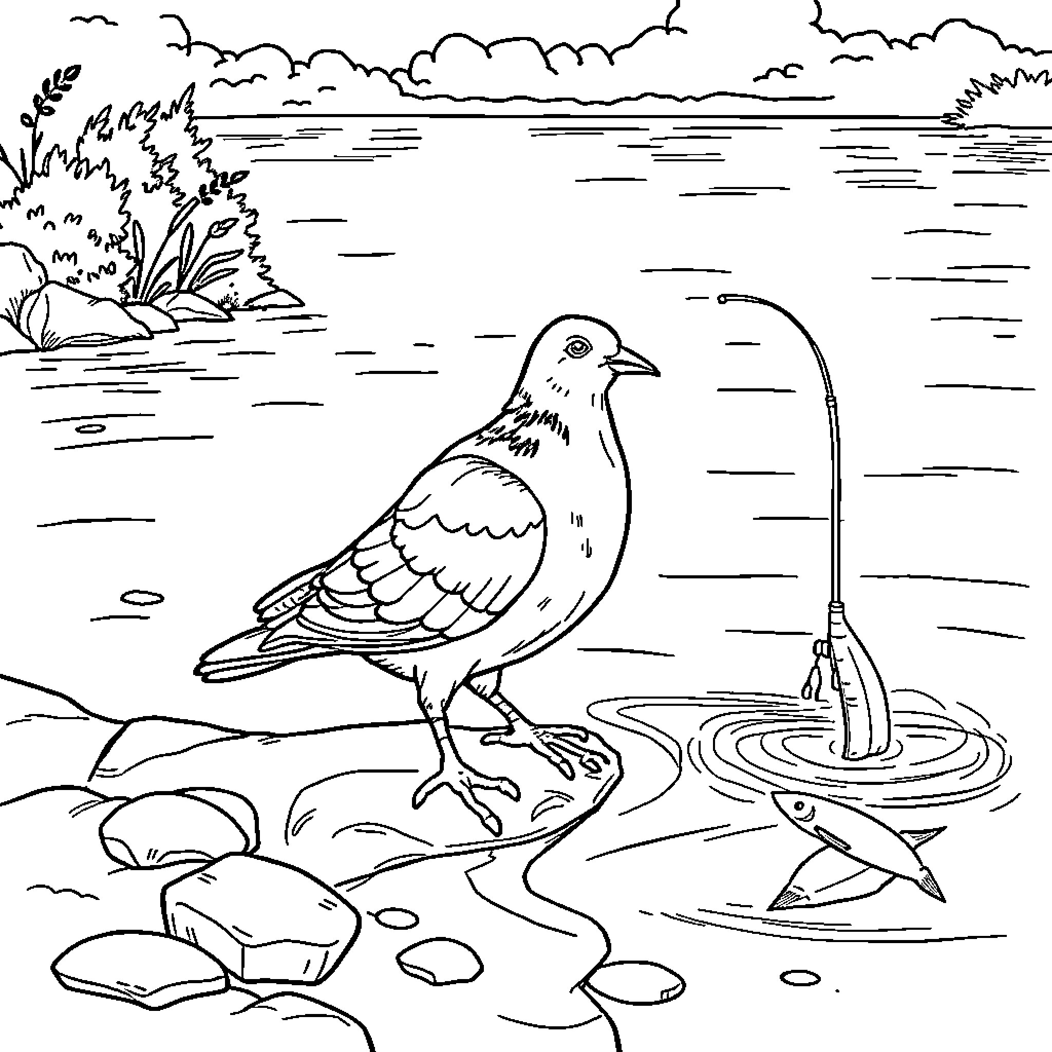 Pigeon quenching thirst at pond Coloring Page (free black-and-white line drawing printable PDF for all, from beginners to advanced learners, including children, teens, adults, and seniors)