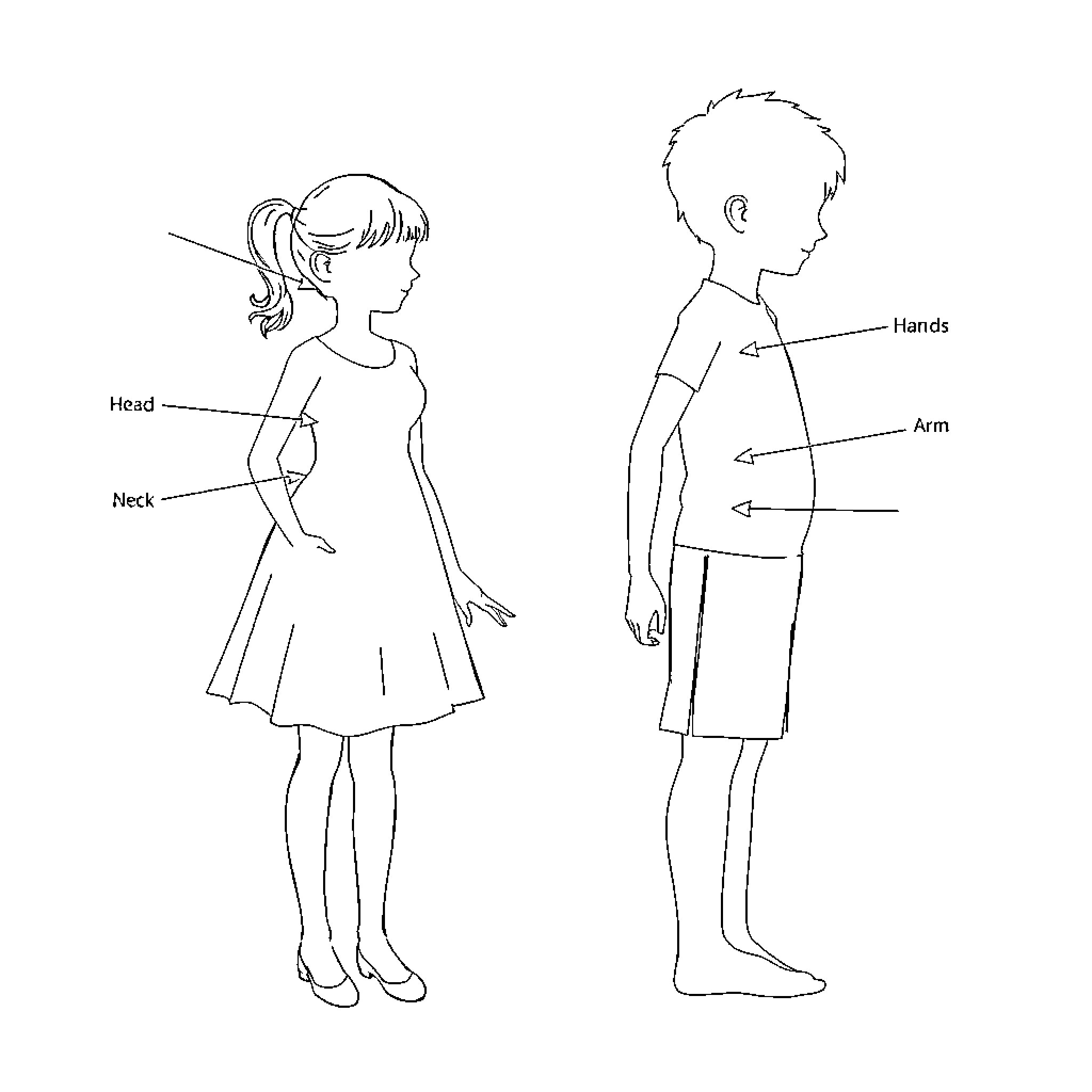 Girl and Boy Cartoon Figures with Labeled Body Parts Coloring Page (free black-and-white line drawing printable PDF for all, from beginners to advanced learners, including children, teens, adults, and seniors)
