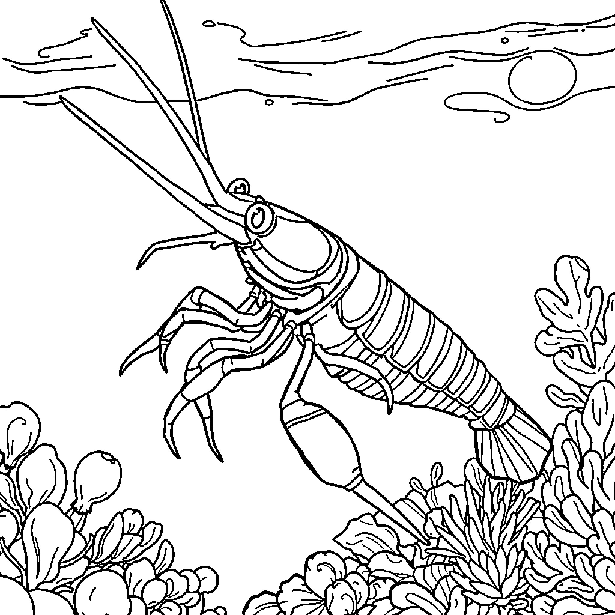 Mantis Shrimp exploring underwater coral reef Coloring Page (free black-and-white line drawing printable PDF for all, from beginners to advanced learners, including children, teens, adults, and seniors)