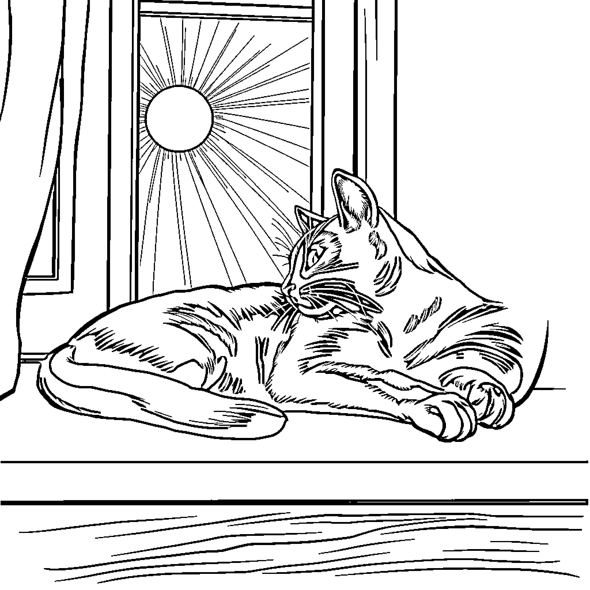 Cat resting peacefully in the sunlight Coloring Page (free black-and-white line drawing printable PDF for all, from beginners to advanced learners, including children, teens, adults, and seniors)