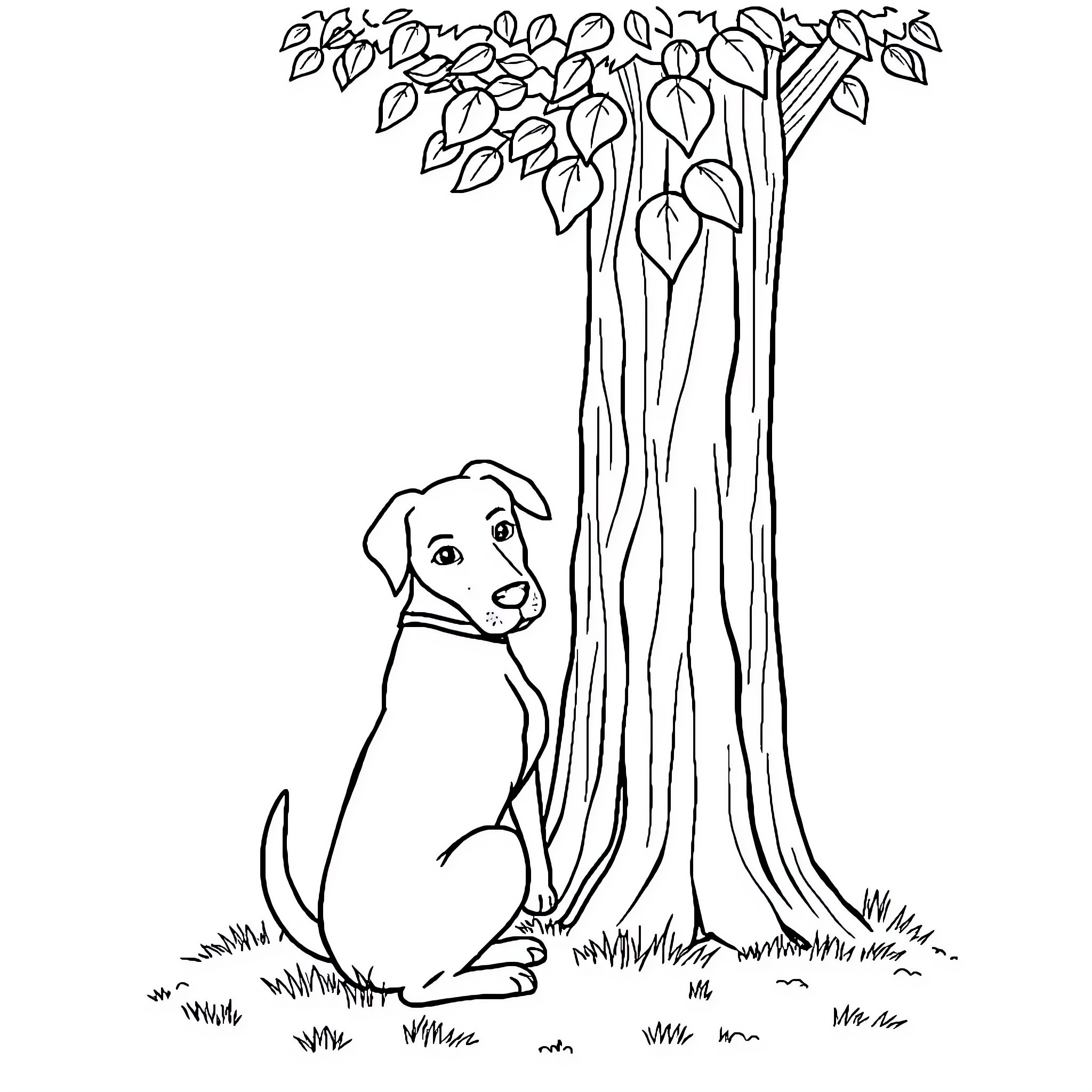 Dog sitting under a large tree Coloring Page (free black-and-white line drawing printable PDF for all, from beginners to advanced learners, including children, teens, adults, and seniors)