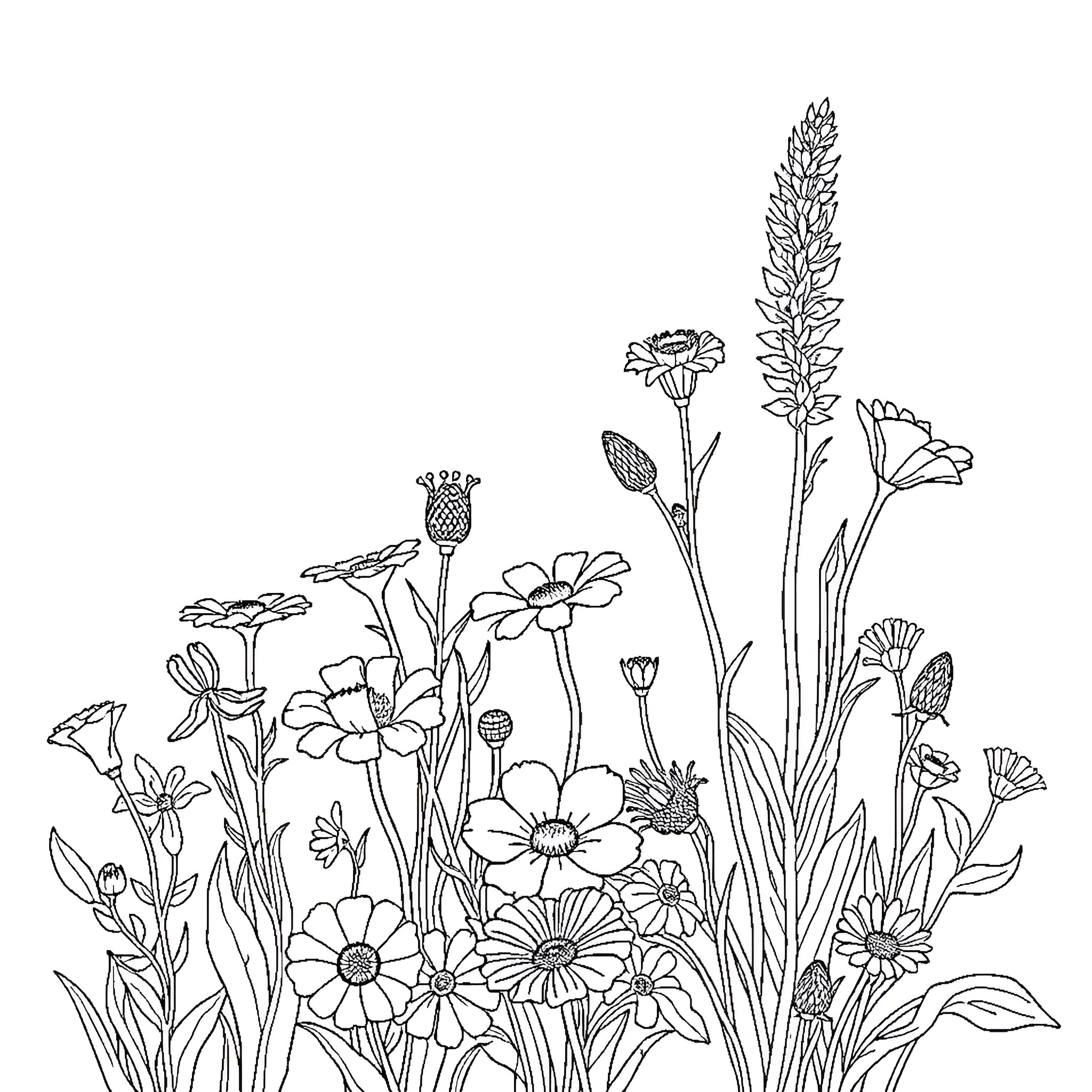 Flower garden with diverse blooms Coloring Page (free black-and-white line drawing printable PDF for all, from beginners to advanced learners, including children, teens, adults, and seniors)