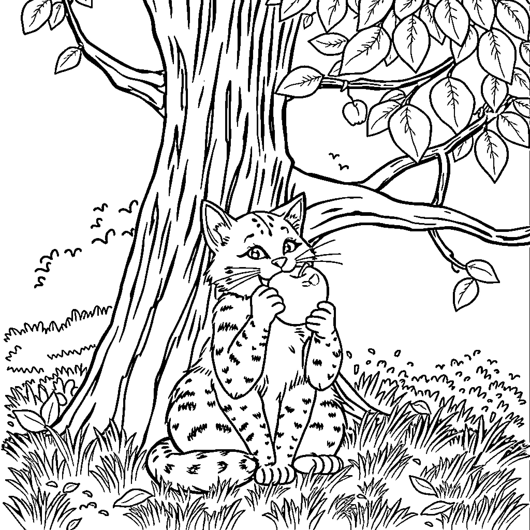 Wildcat lounging in the forest Coloring Page (free black-and-white line drawing printable PDF for all, from beginners to advanced learners, including children, teens, adults, and seniors)