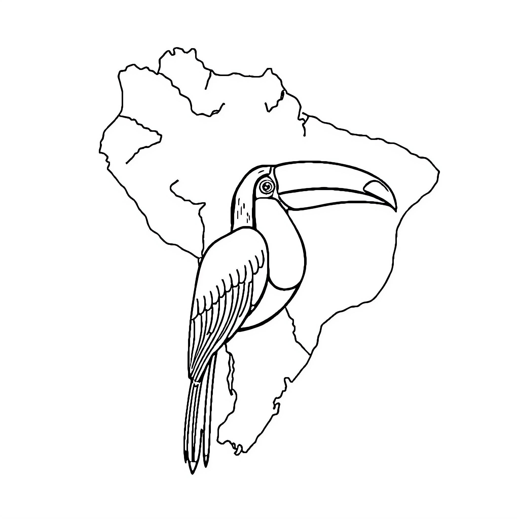 Toucan perched on South American map outline Coloring Page (free black-and-white line drawing printable PDF for all, from beginners to advanced learners, including children, teens, adults, and seniors)