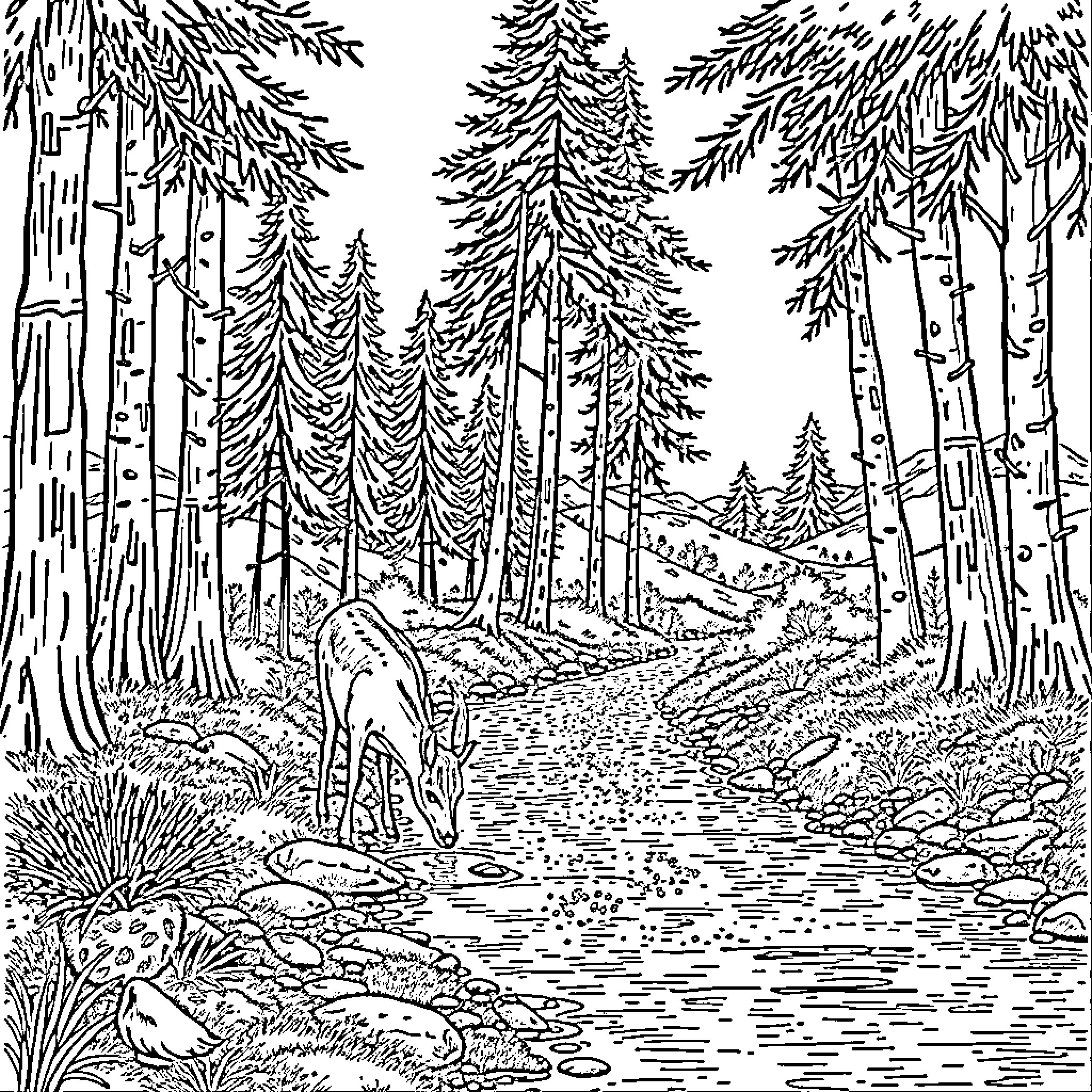 Tree-lined forest stream with wildlife Coloring Page (free black-and-white line drawing printable PDF for all, from beginners to advanced learners, including children, teens, adults, and seniors)