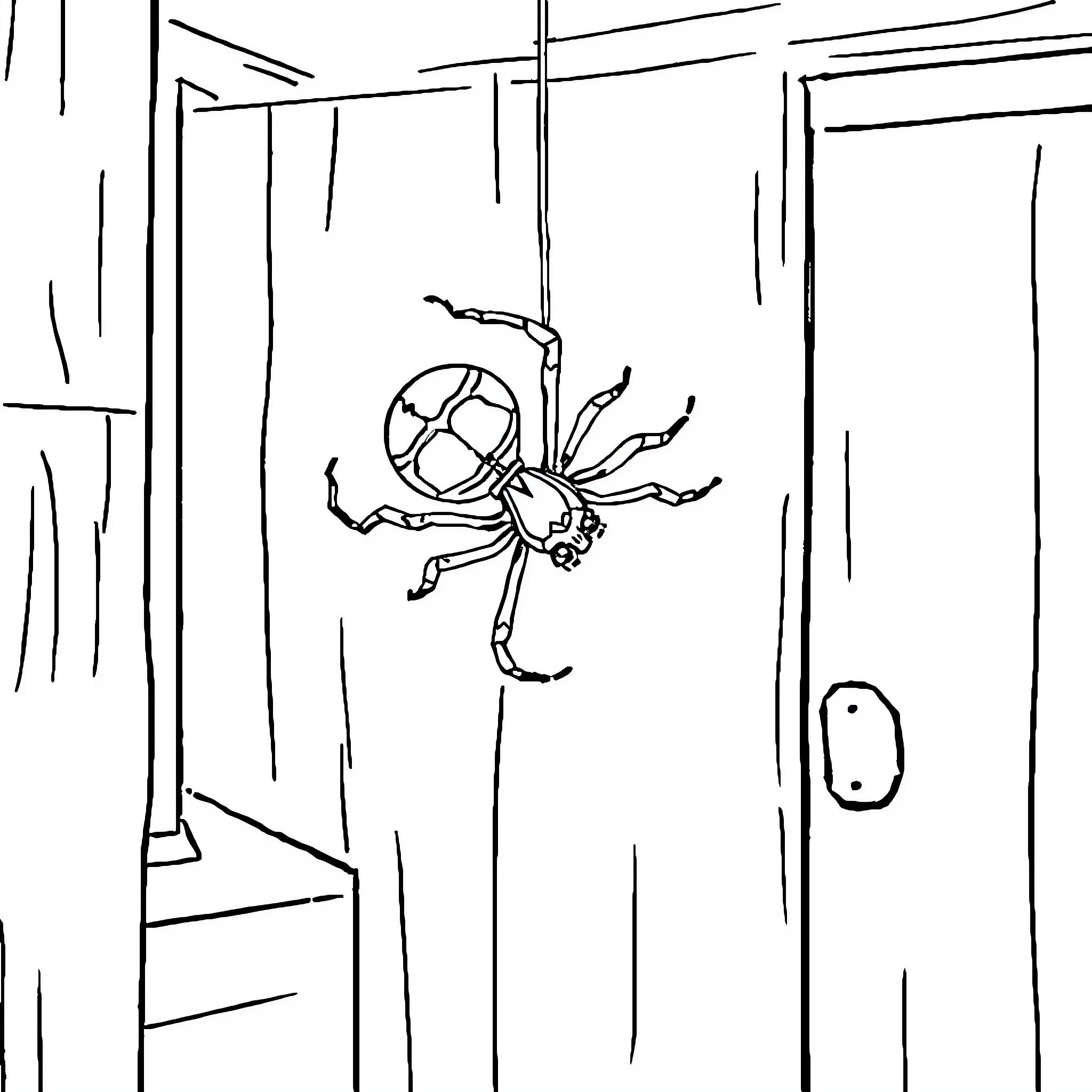 Spider crawling on a wooden surface Coloring Page (free black-and-white line drawing printable PDF for all, from beginners to advanced learners, including children, teens, adults, and seniors)