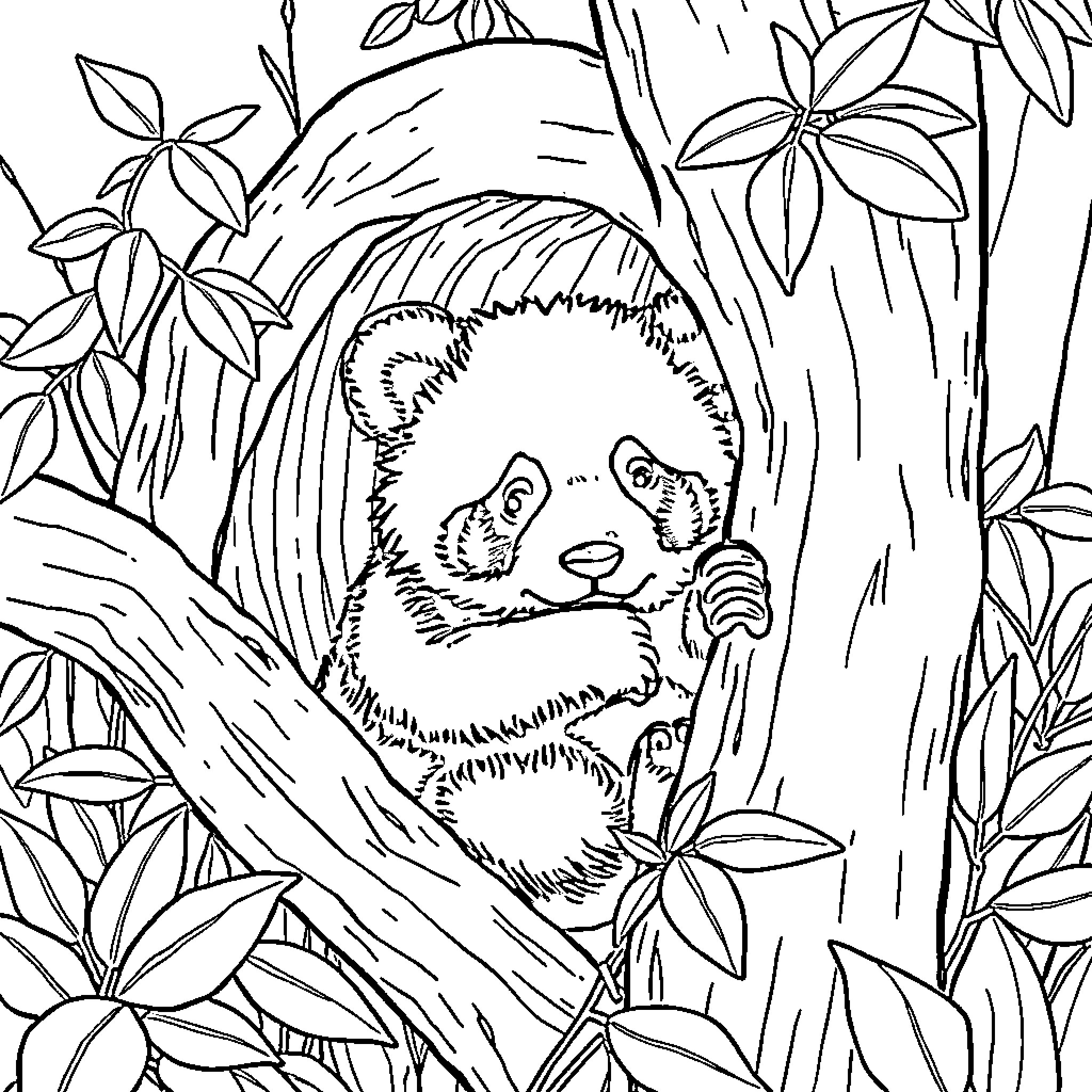 Panda peeking out from jungle foliage Coloring Page (free black-and-white line drawing printable PDF for all, from beginners to advanced learners, including children, teens, adults, and seniors)