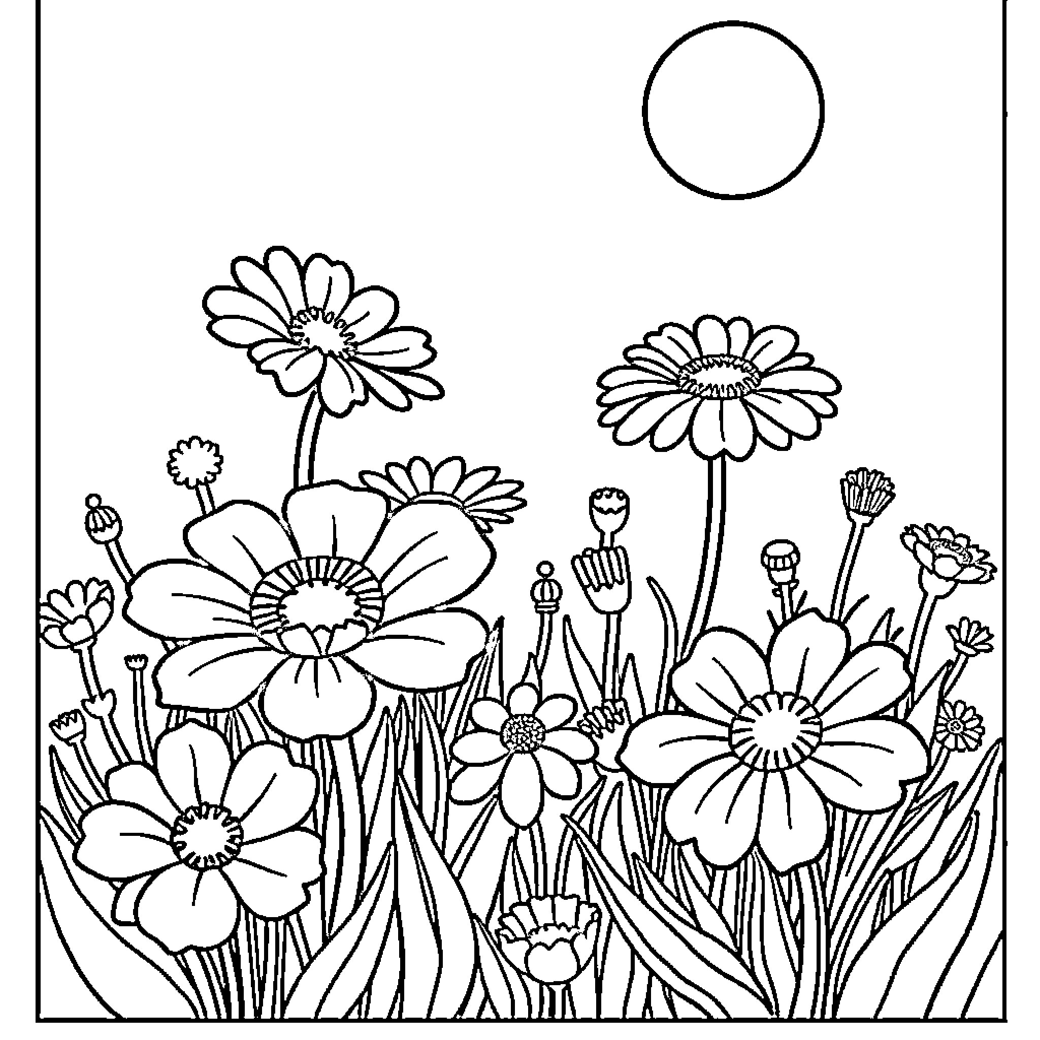 Flower field with various blooming flowers Coloring Page (free black-and-white line drawing printable PDF for all, from beginners to advanced learners, including children, teens, adults, and seniors)