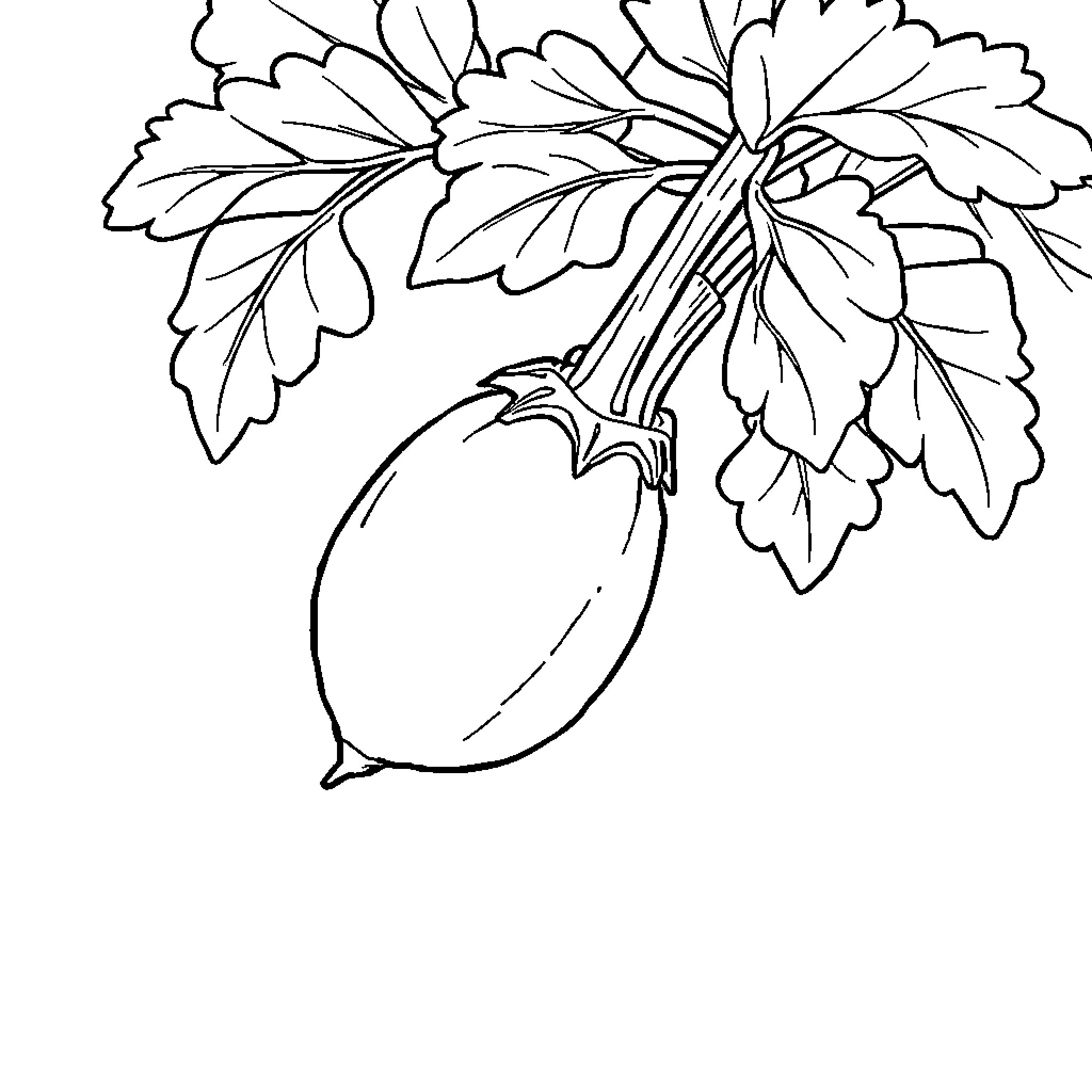 Zanahoria - Illustration of a Vegetable Plant Coloring Page (free black-and-white line drawing printable PDF for all, from beginners to advanced learners, including children, teens, adults, and seniors)