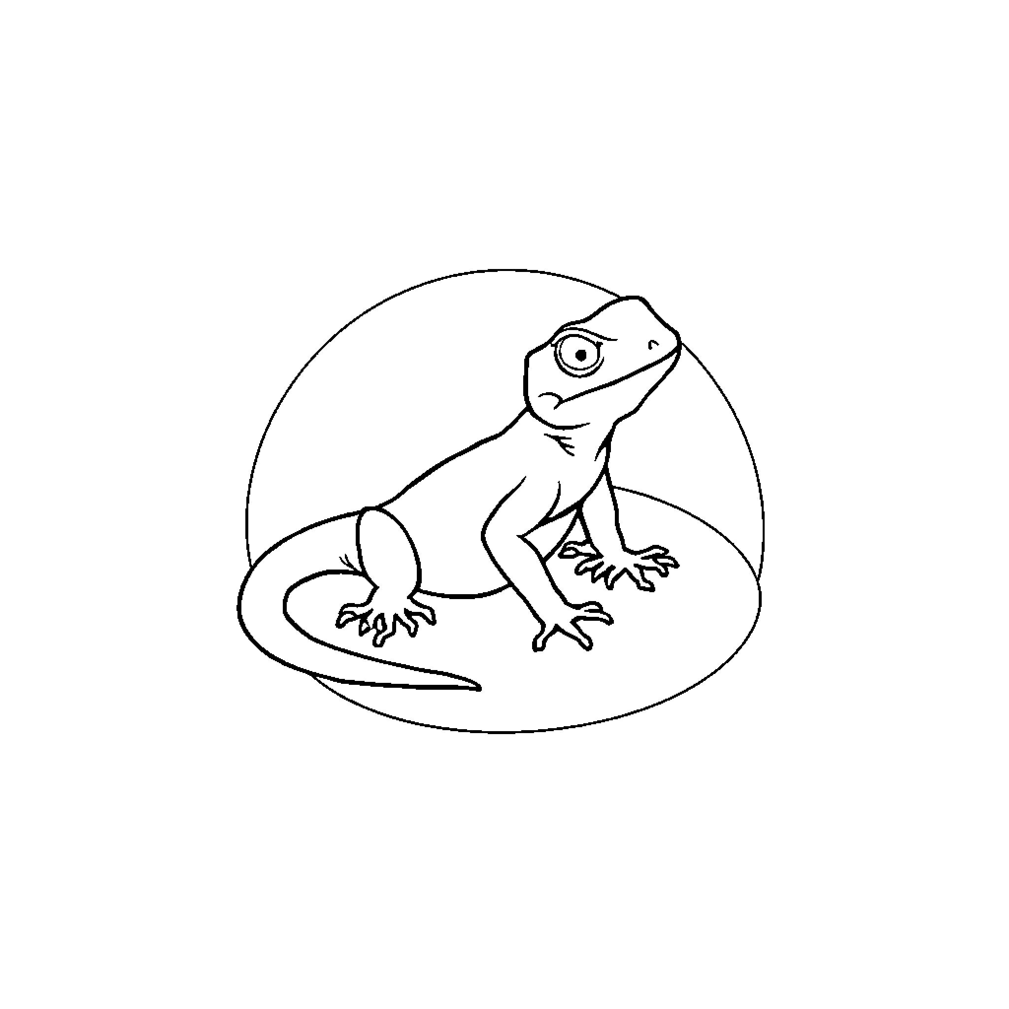 Lizard lounging in a cozy habitat Coloring Page (free black-and-white line drawing printable PDF for all, from beginners to advanced learners, including children, teens, adults, and seniors)