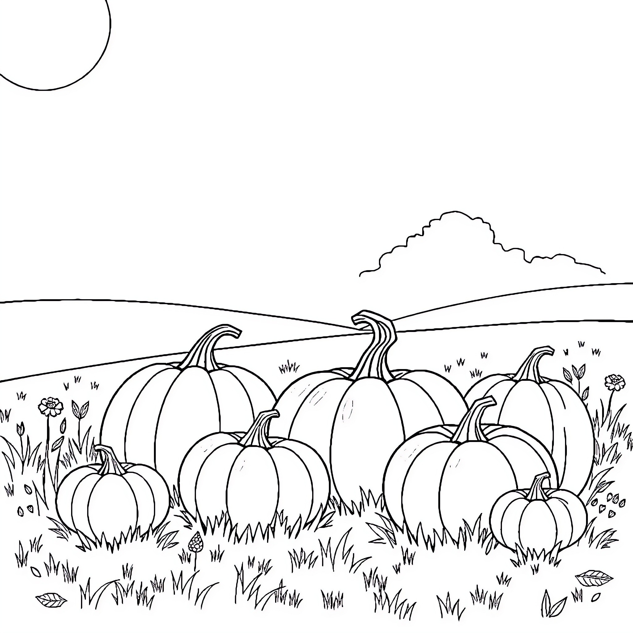 Pumpkin patch in the countryside Coloring Page (free black-and-white line drawing printable PDF for all, from beginners to advanced learners, including children, teens, adults, and seniors)