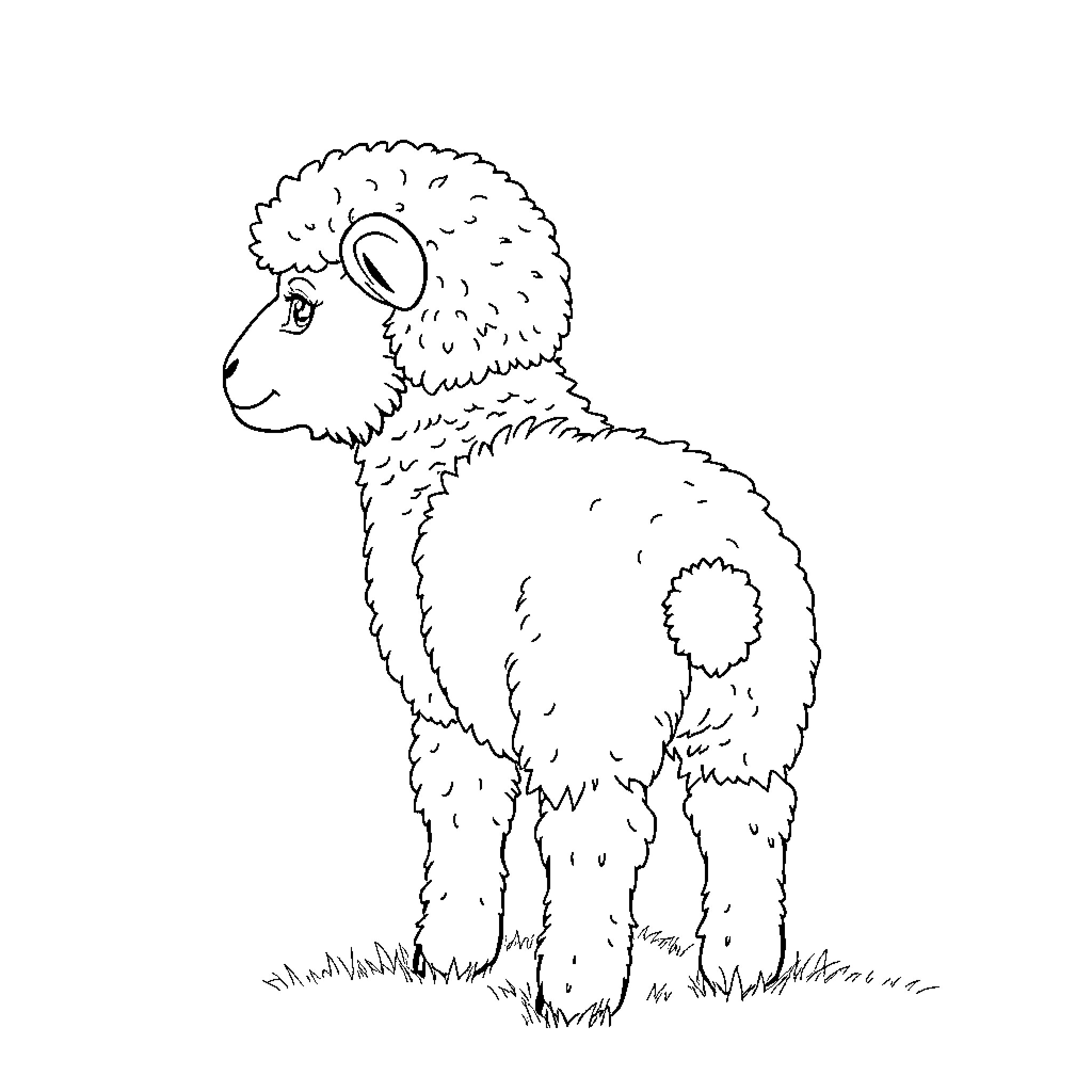 Lamb standing in the meadow Coloring Page (free black-and-white line drawing printable PDF for all, from beginners to advanced learners, including children, teens, adults, and seniors)
