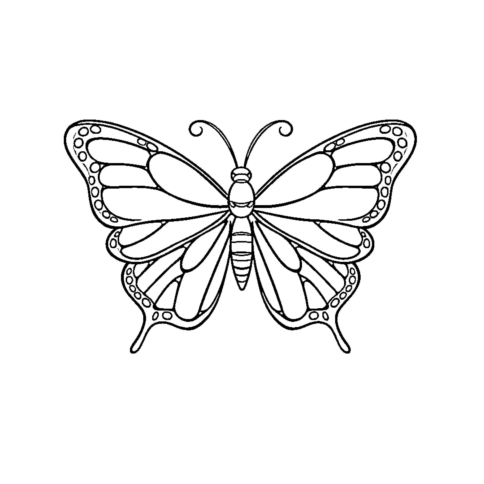 Butterfly with decorative wings Coloring Page (free black-and-white line drawing printable PDF for all, from beginners to advanced learners, including children, teens, adults, and seniors)