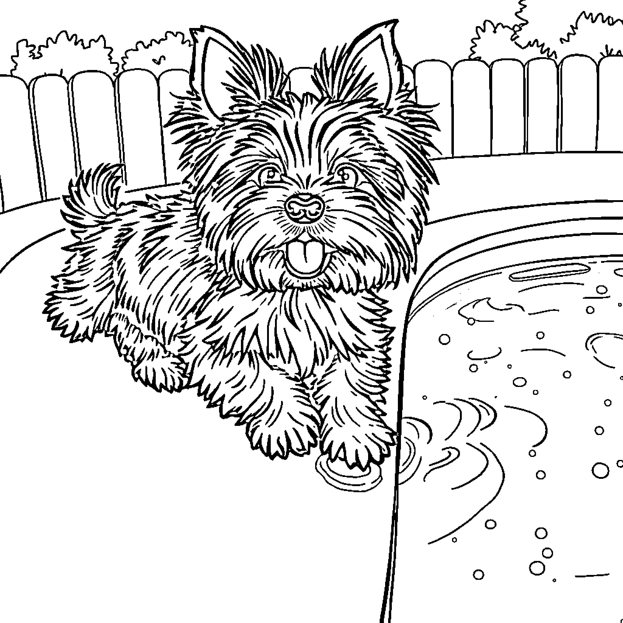 Yorkie playing joyfully in the backyard Coloring Page (free black-and-white line drawing printable PDF for all, from beginners to advanced learners, including children, teens, adults, and seniors)