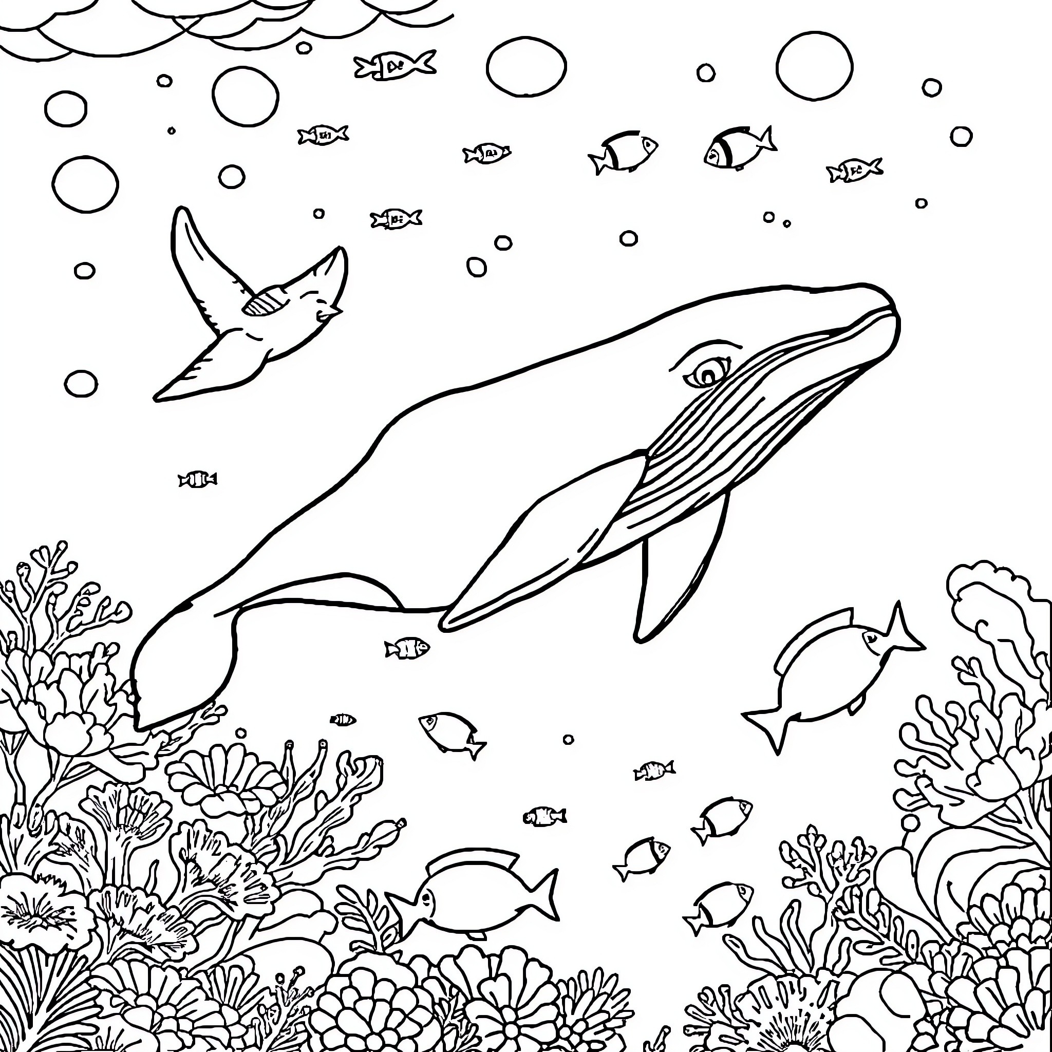 Whale swimming among diverse marine life Coloring Page (free black-and-white line drawing printable PDF for all, from beginners to advanced learners, including children, teens, adults, and seniors)