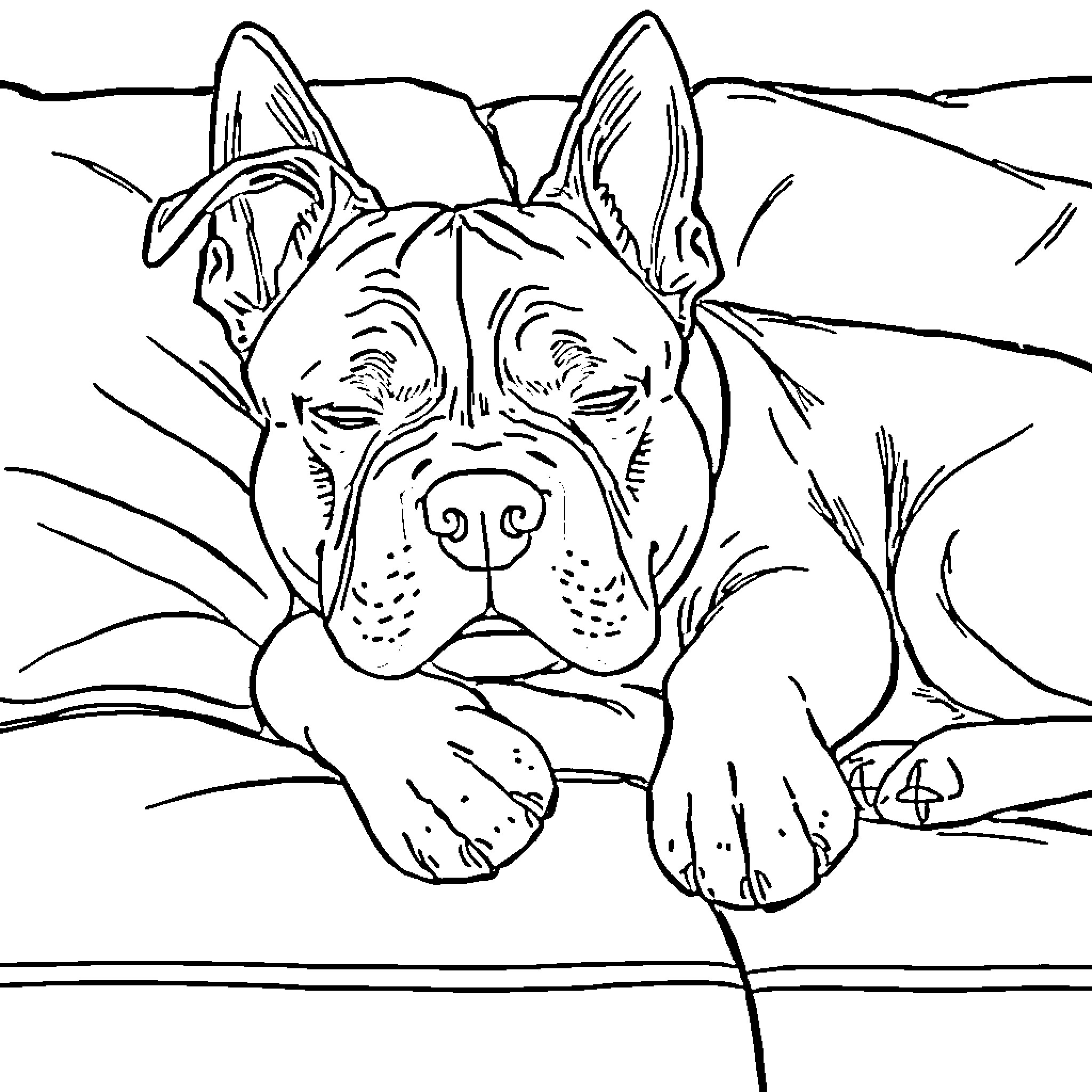 Staffordshire Bull Terrier resting in the field Coloring Page (free black-and-white line drawing printable PDF for all, from beginners to advanced learners, including children, teens, adults, and seniors)