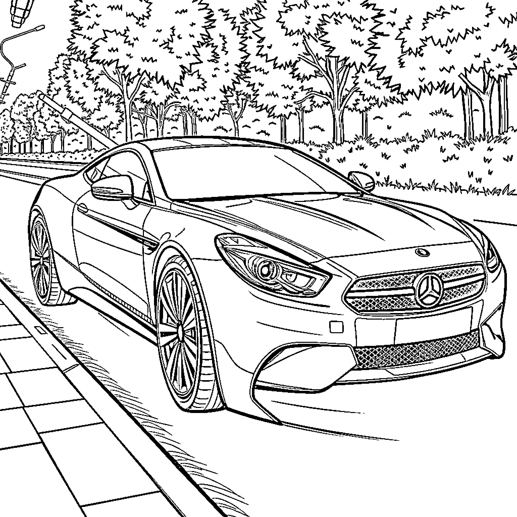 Car driving in the forest Coloring Page (free black-and-white line drawing printable PDF for all, from beginners to advanced learners, including children, teens, adults, and seniors)