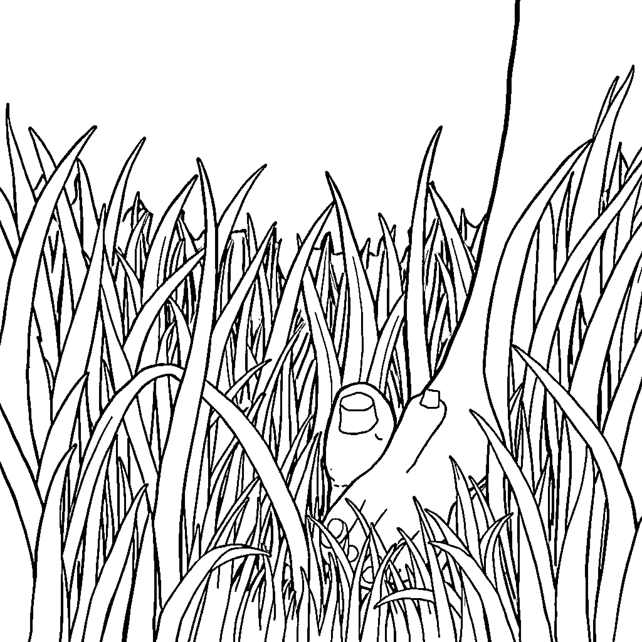 Grass scene with shapes and textures Coloring Page (free black-and-white line drawing printable PDF for all, from beginners to advanced learners, including children, teens, adults, and seniors)