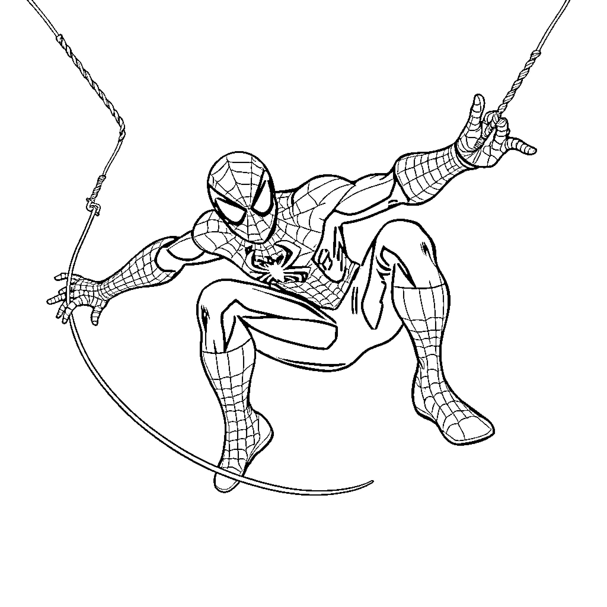 Spiderman swinging and posing heroically Coloring Page (free black-and-white line drawing printable PDF for all, from beginners to advanced learners, including children, teens, adults, and seniors)