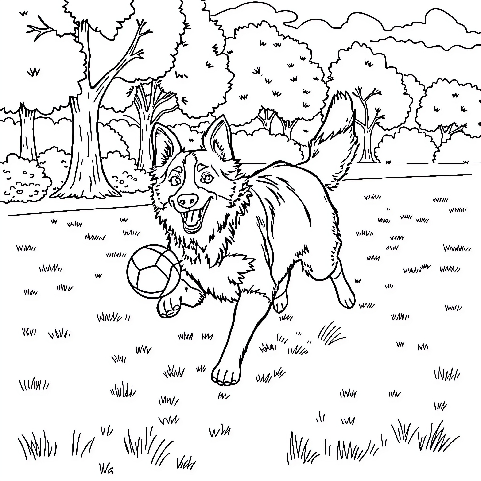 Border Collie playing joyfully in the forest Coloring Page (free black-and-white line drawing printable PDF for all, from beginners to advanced learners, including children, teens, adults, and seniors)