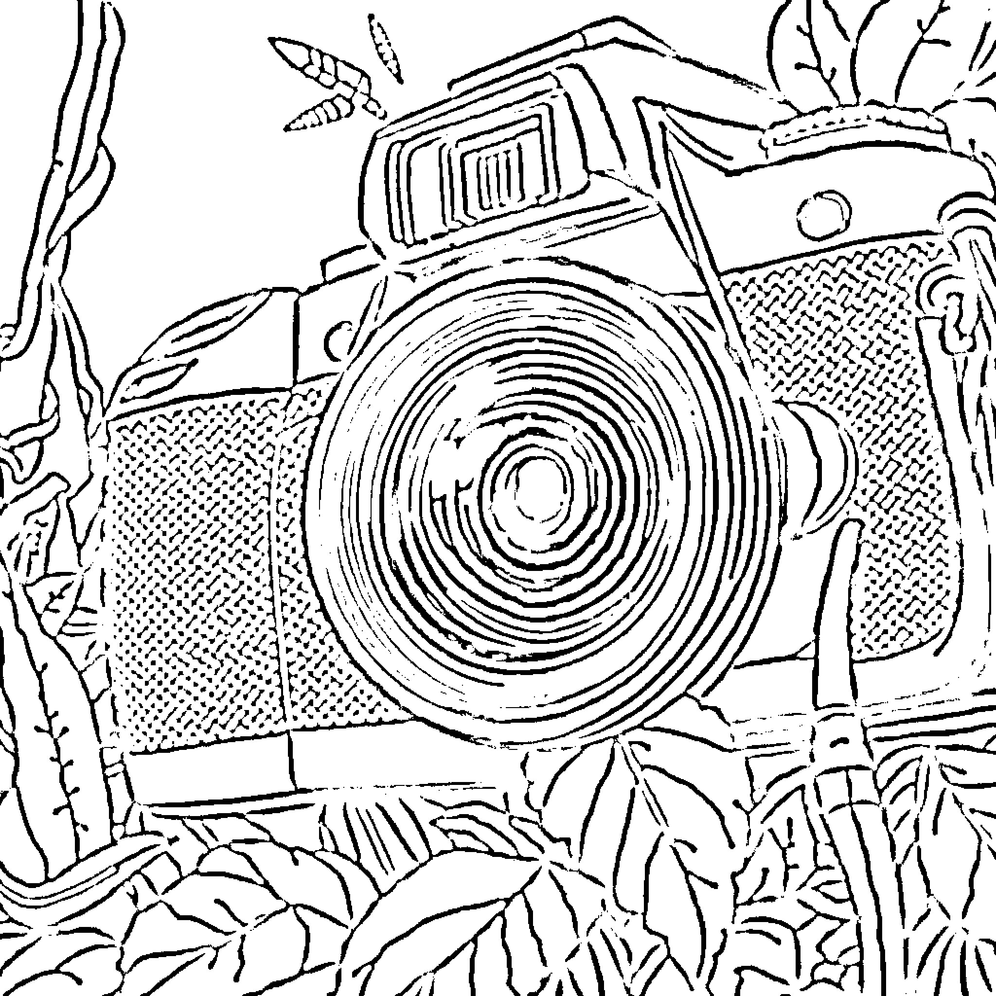 Camera focused on nature in the wilderness Coloring Page (free black-and-white line drawing printable PDF for all, from beginners to advanced learners, including children, teens, adults, and seniors)
