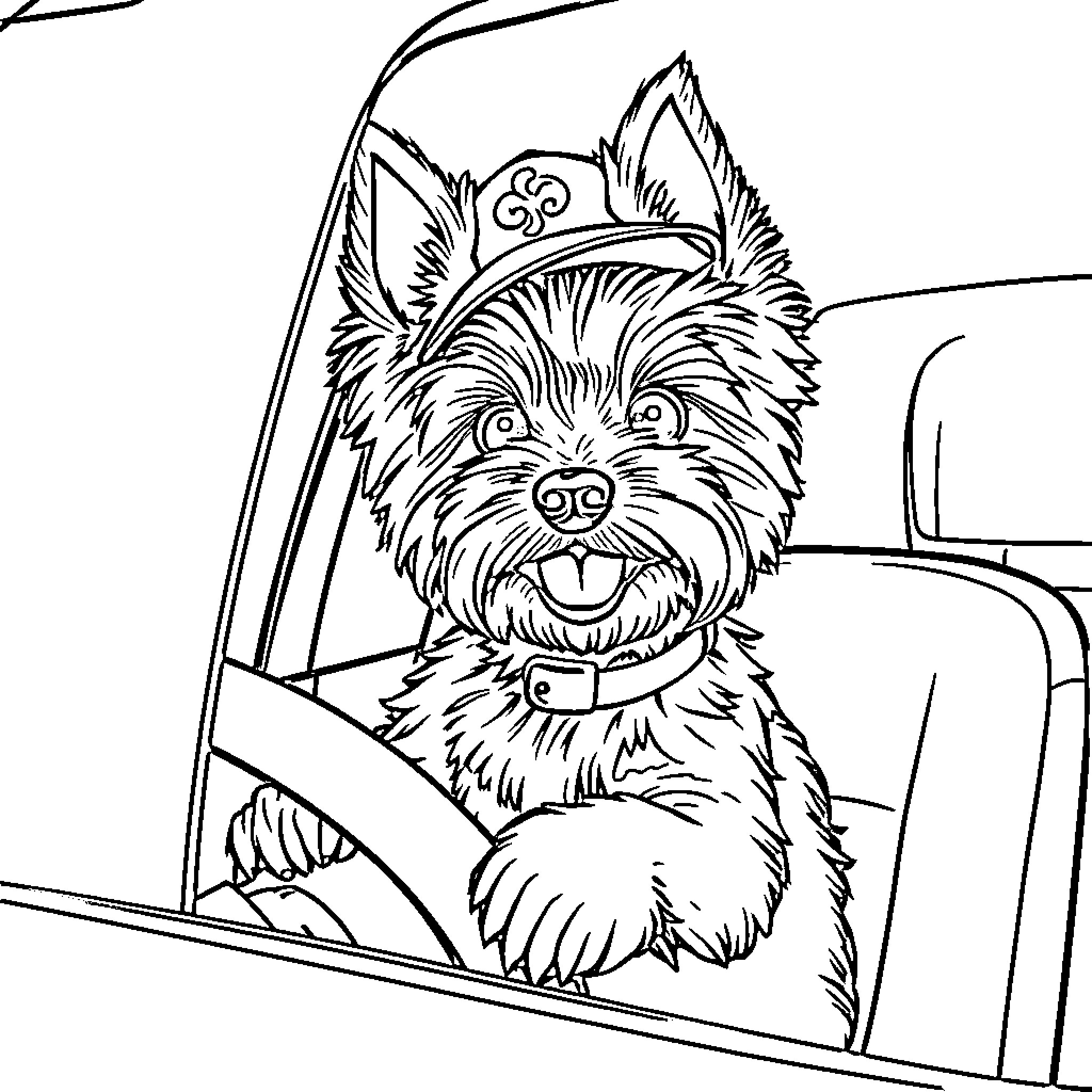 Yorkshire Terrier enjoying a ride in the car Coloring Page (free black-and-white line drawing printable PDF for all, from beginners to advanced learners, including children, teens, adults, and seniors)