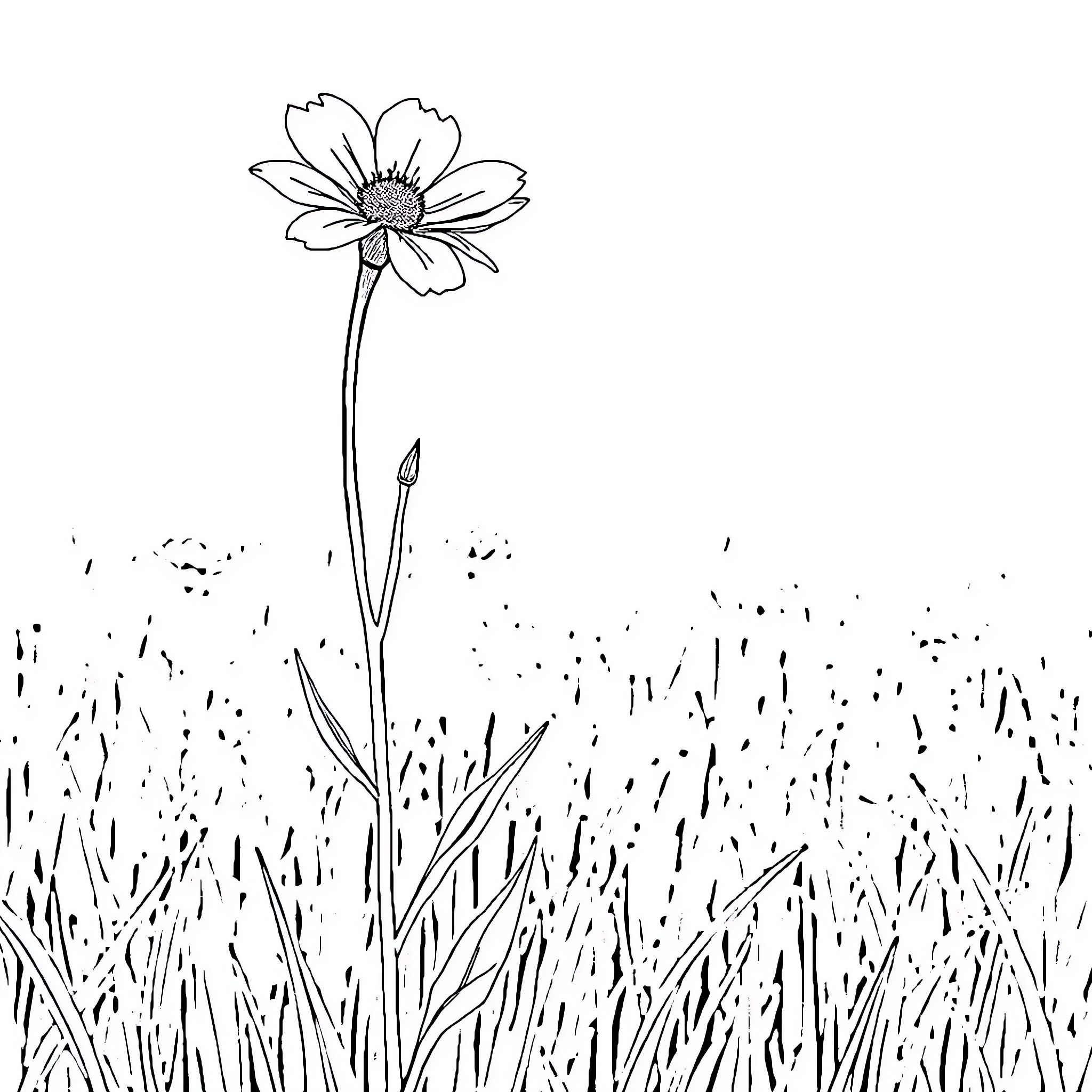 Wildflower in a grassy meadow Coloring Page (free black-and-white line drawing printable PDF for all, from beginners to advanced learners, including children, teens, adults, and seniors)