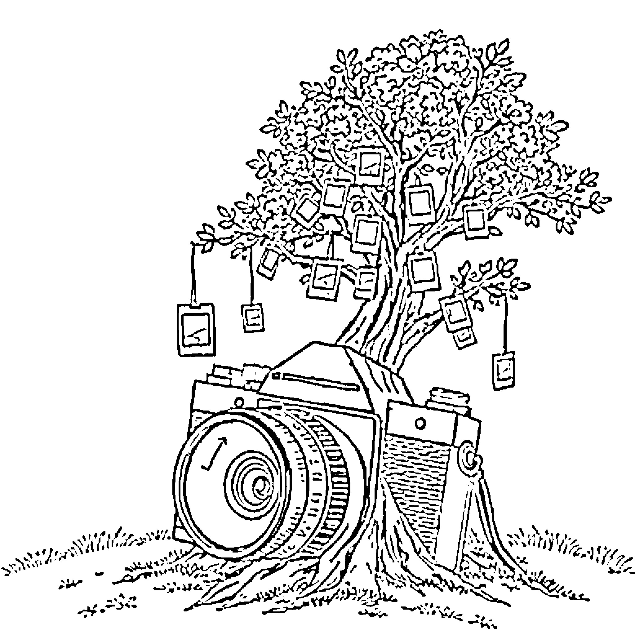 Tree with Framed Memories Captured by Camera Coloring Page (free black-and-white line drawing printable PDF for all, from beginners to advanced learners, including children, teens, adults, and seniors)