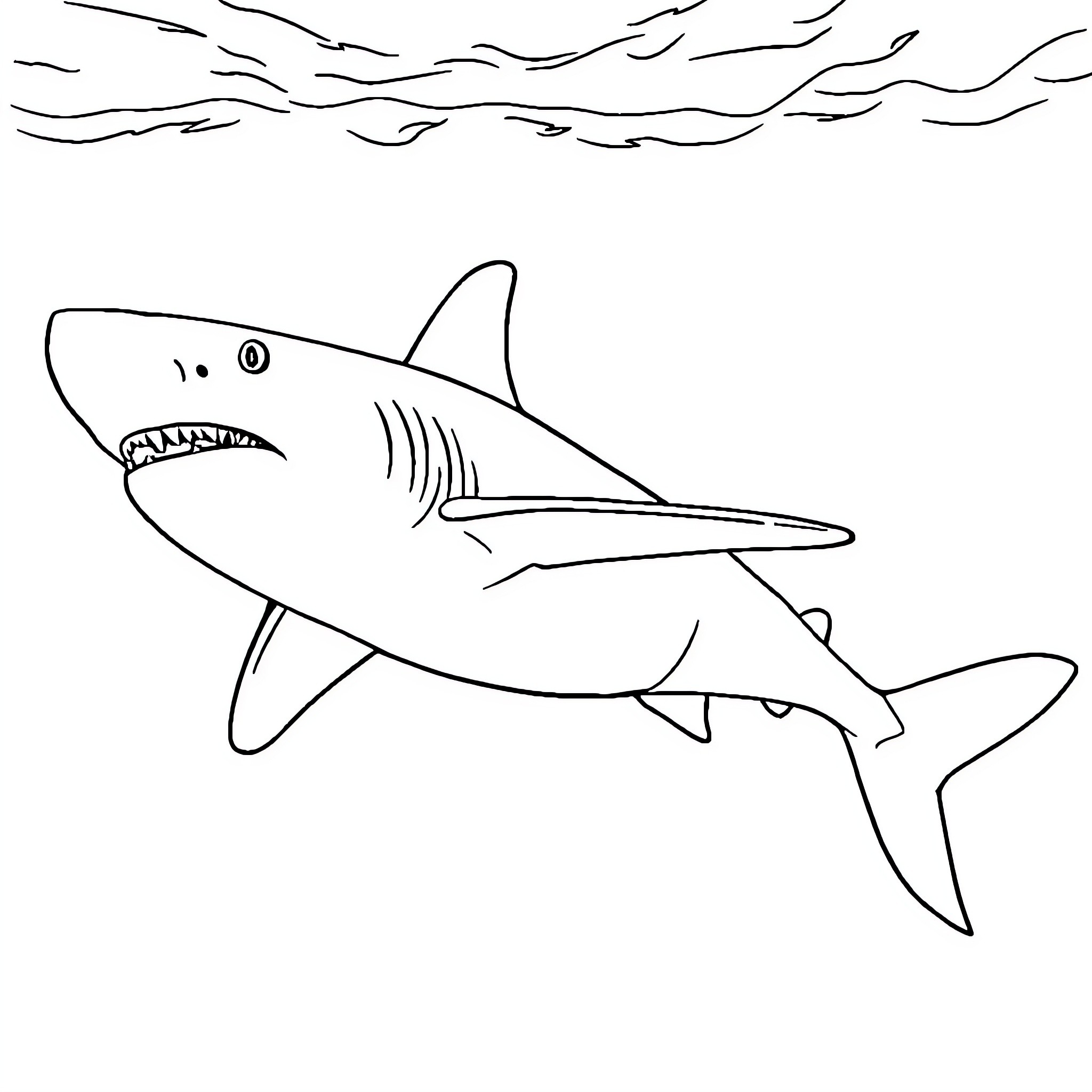 Shark swimming in the ocean Coloring Page (free black-and-white line drawing printable PDF for all, from beginners to advanced learners, including children, teens, adults, and seniors)