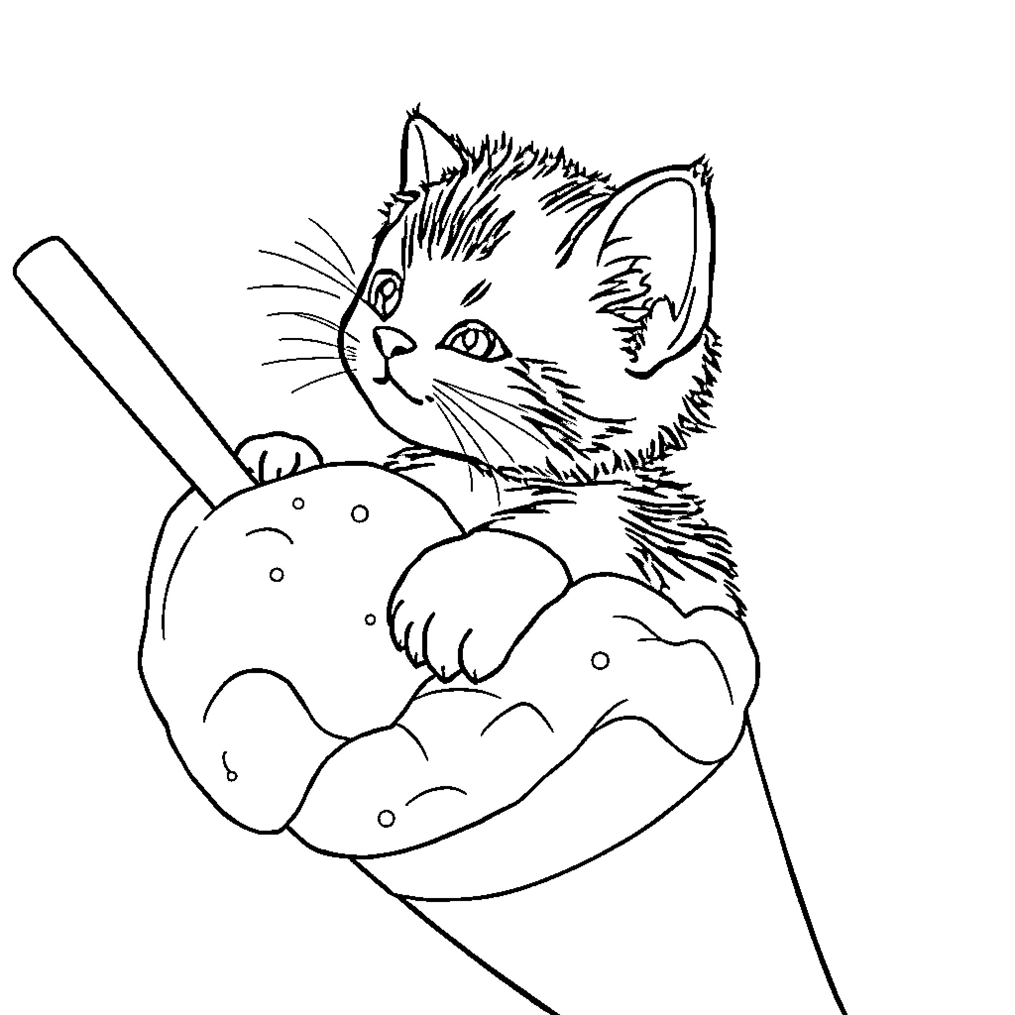 Cat in a cozy spot Coloring Page (free black-and-white line drawing printable PDF for all, from beginners to advanced learners, including children, teens, adults, and seniors)