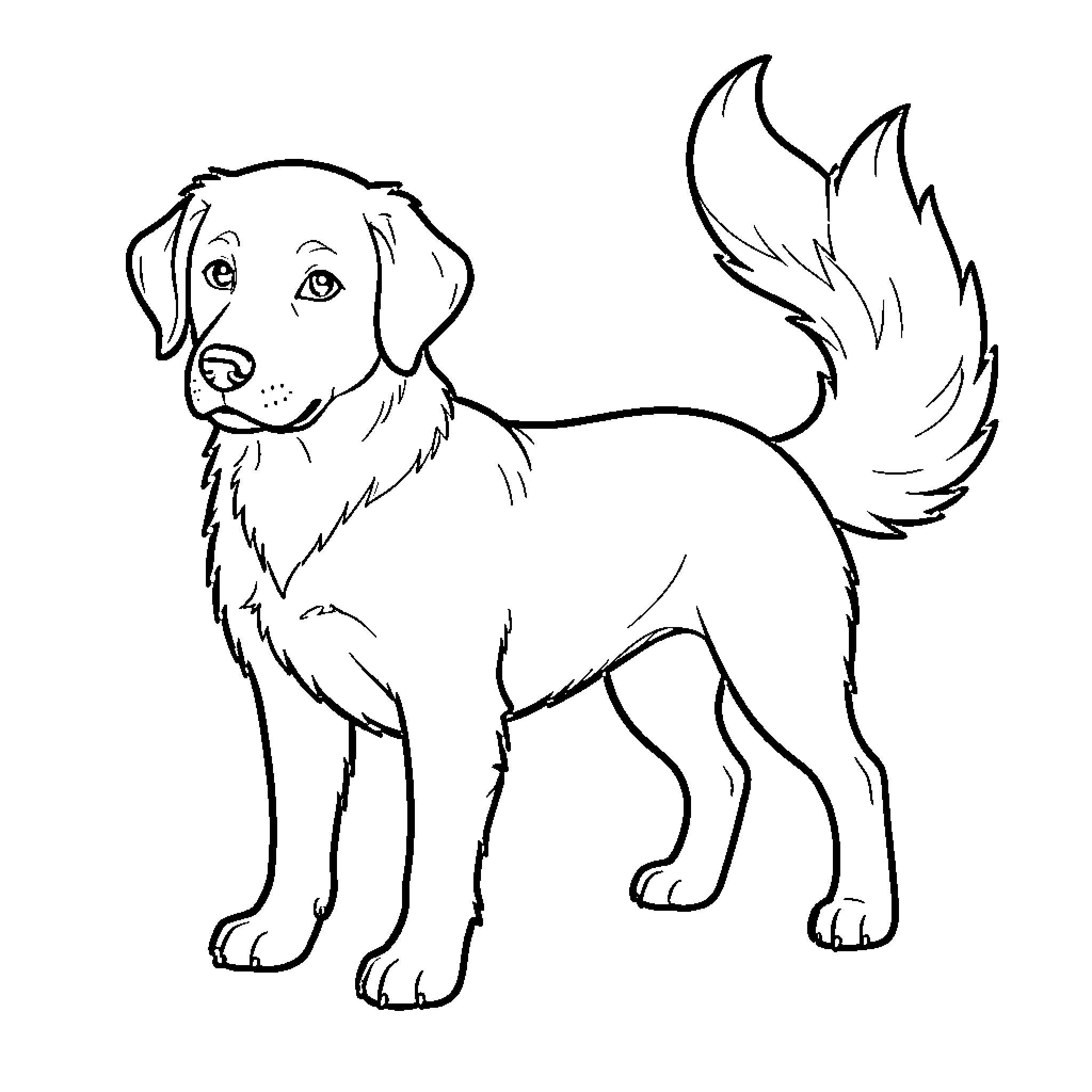 Perro standing alertly and looking towards the camera Coloring Page (free black-and-white line drawing printable PDF for all, from beginners to advanced learners, including children, teens, adults, and seniors)