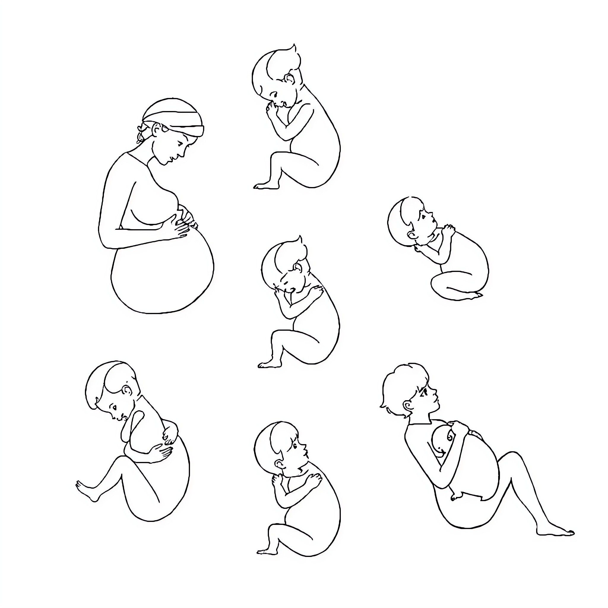 Birth Position: Gestational Positions and Postures Coloring Page (free black-and-white line drawing printable PDF for all, from beginners to advanced learners, including children, teens, adults, and seniors)
