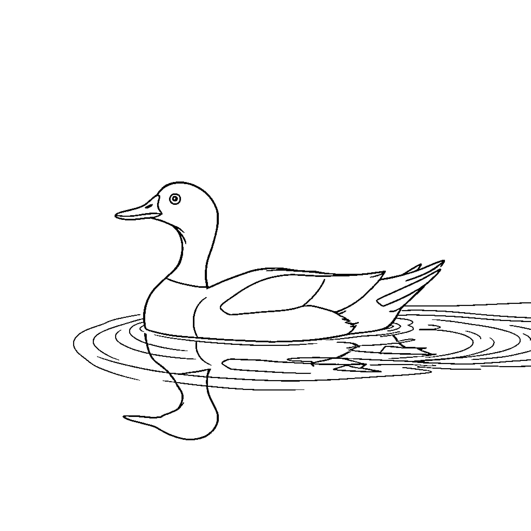 Duck swimming calmly on the water Coloring Page (free black-and-white line drawing printable PDF for all, from beginners to advanced learners, including children, teens, adults, and seniors)