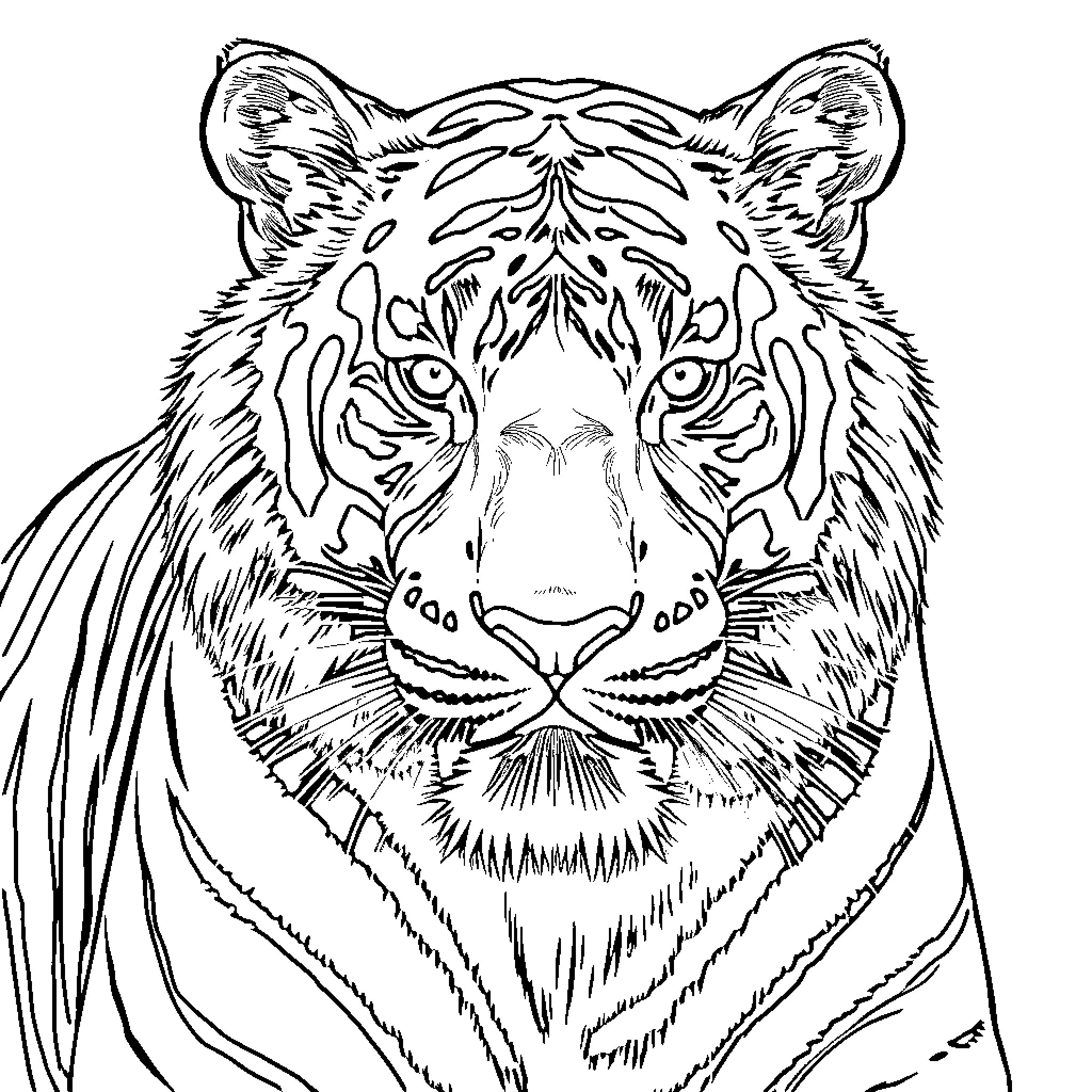 Tiger in detailed monochrome drawing Coloring Page (free black-and-white line drawing printable PDF for all, from beginners to advanced learners, including children, teens, adults, and seniors)