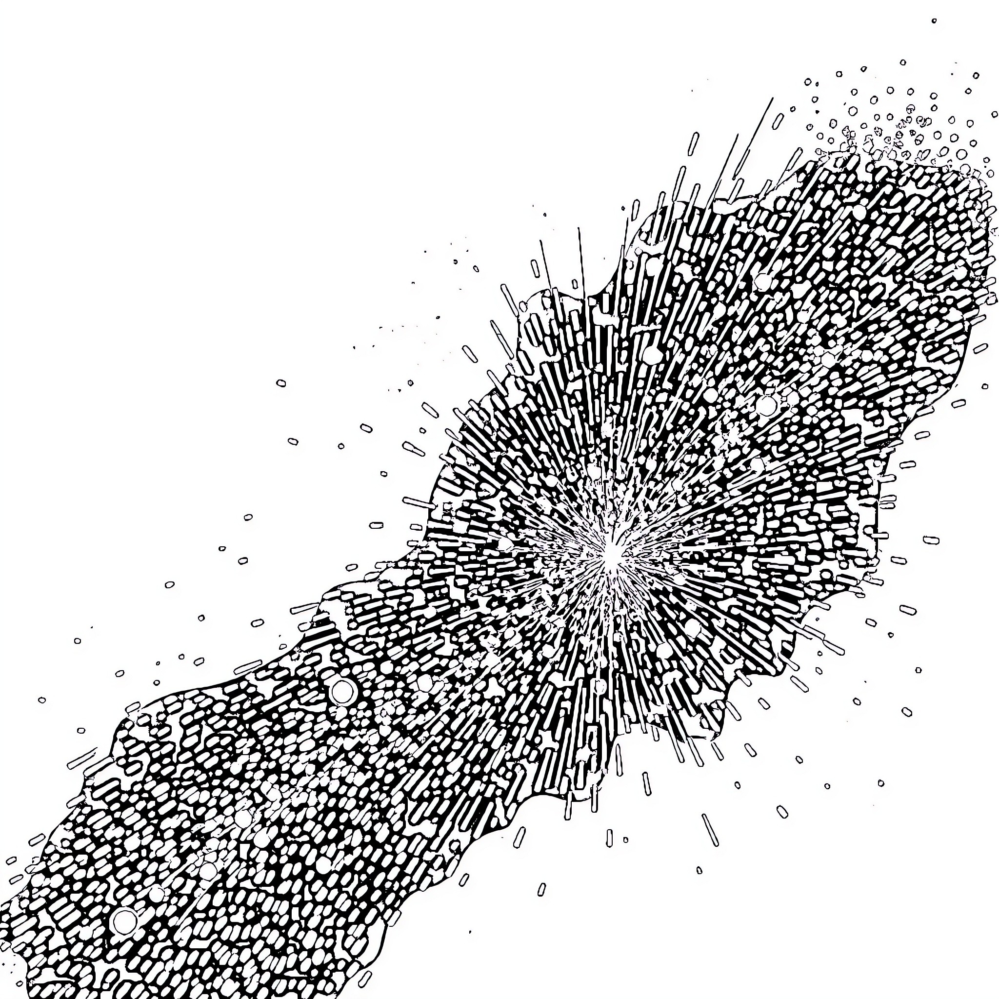 Powder Explosion of Abstract Particles Coloring Page (free black-and-white line drawing printable PDF for all, from beginners to advanced learners, including children, teens, adults, and seniors)