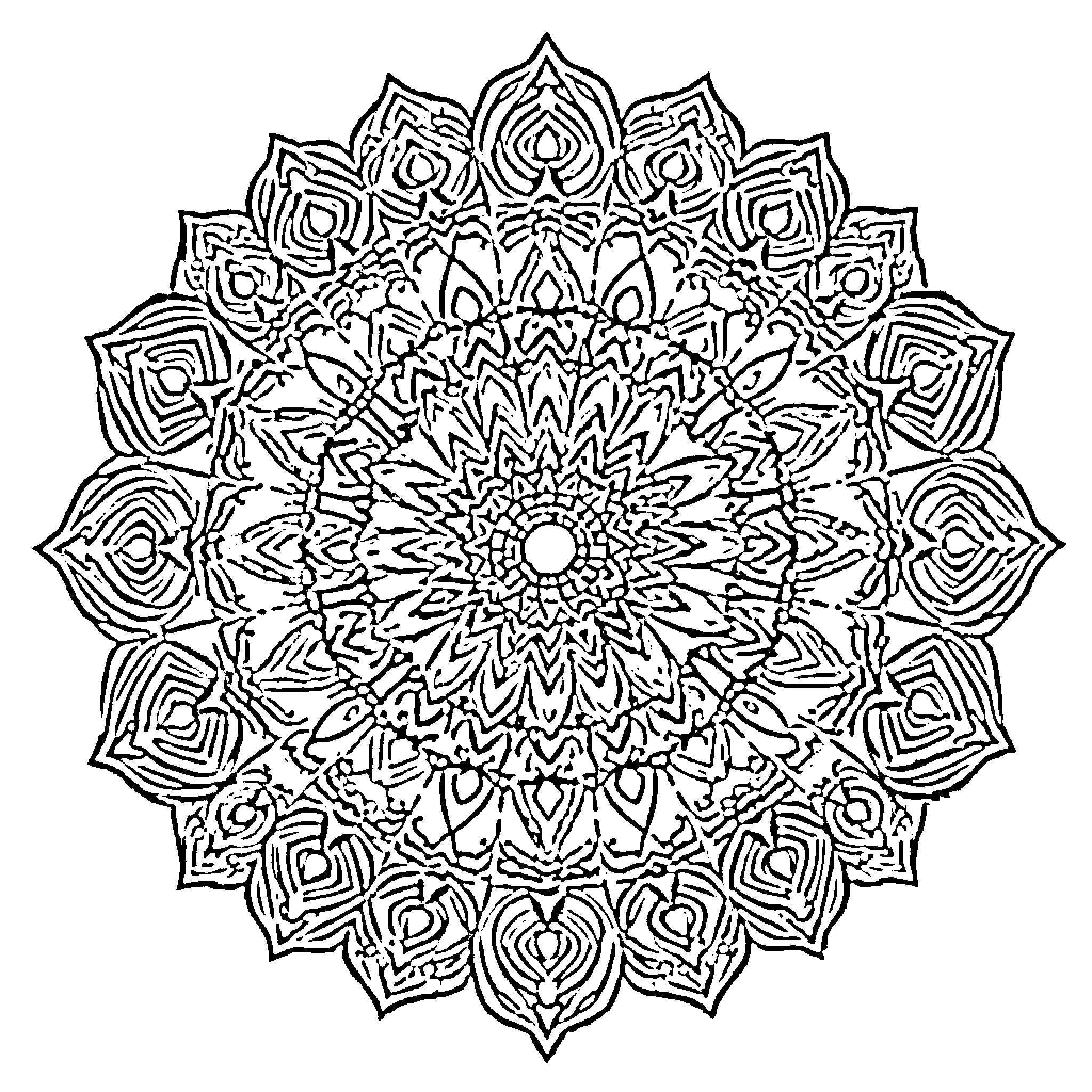 Mandala with intricate floral designs Coloring Page (free black-and-white line drawing printable PDF for all, from beginners to advanced learners, including children, teens, adults, and seniors)