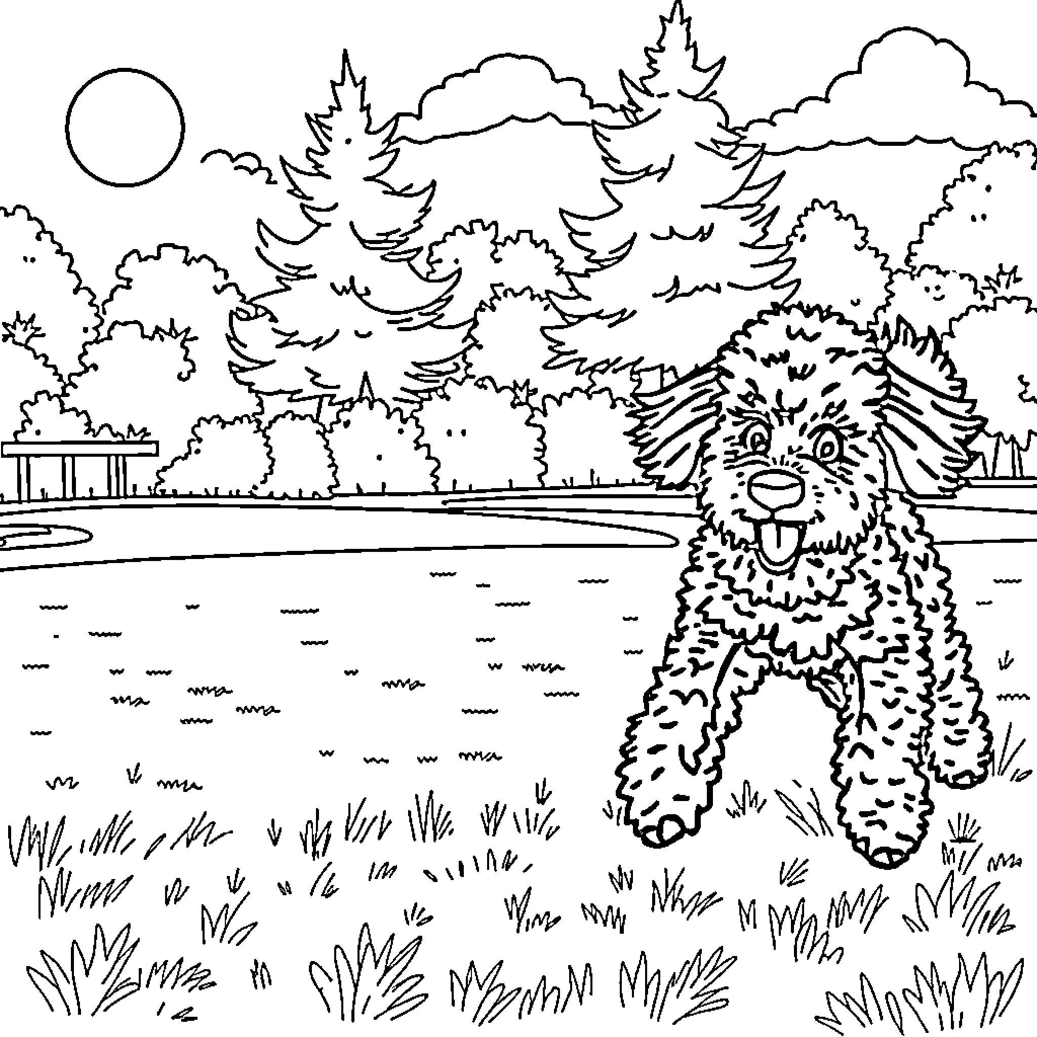 Poodle exploring the serene forest landscape Coloring Page (free black-and-white line drawing printable PDF for all, from beginners to advanced learners, including children, teens, adults, and seniors)