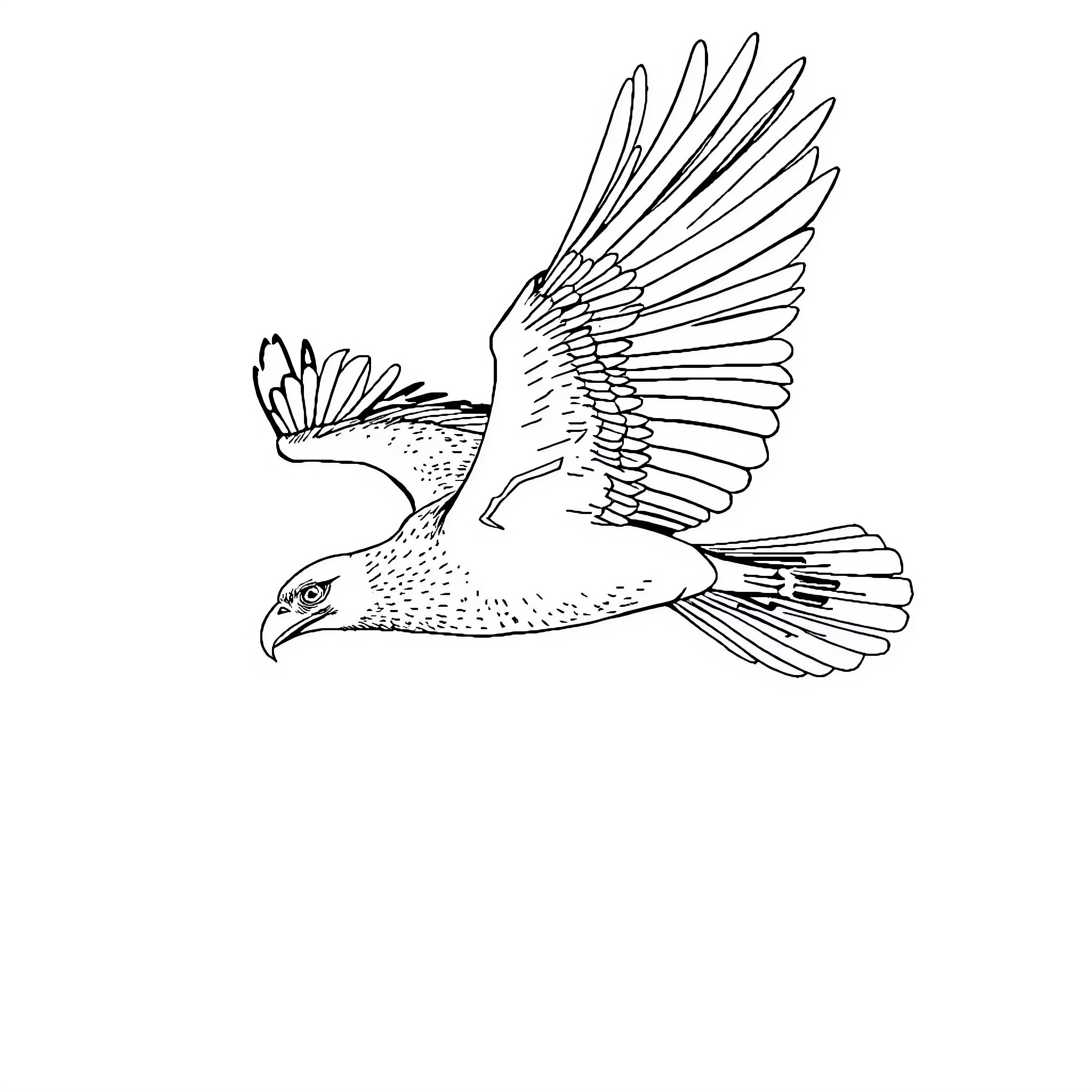 Harpy Eagle in flight Coloring Page (free black-and-white line drawing printable PDF for all, from beginners to advanced learners, including children, teens, adults, and seniors)