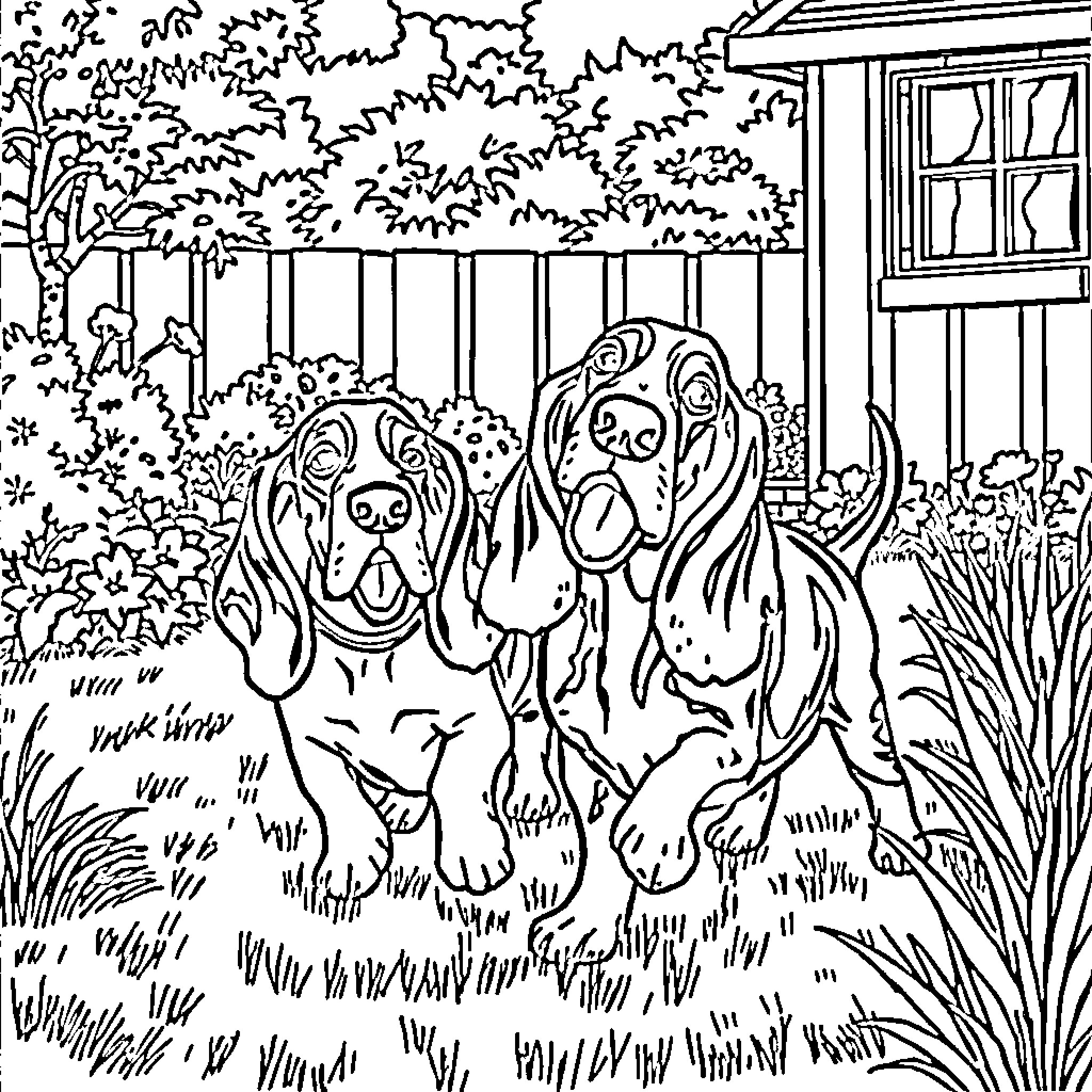 Basset Hounds Playing in the Garden Coloring Page (free black-and-white line drawing printable PDF for all, from beginners to advanced learners, including children, teens, adults, and seniors)
