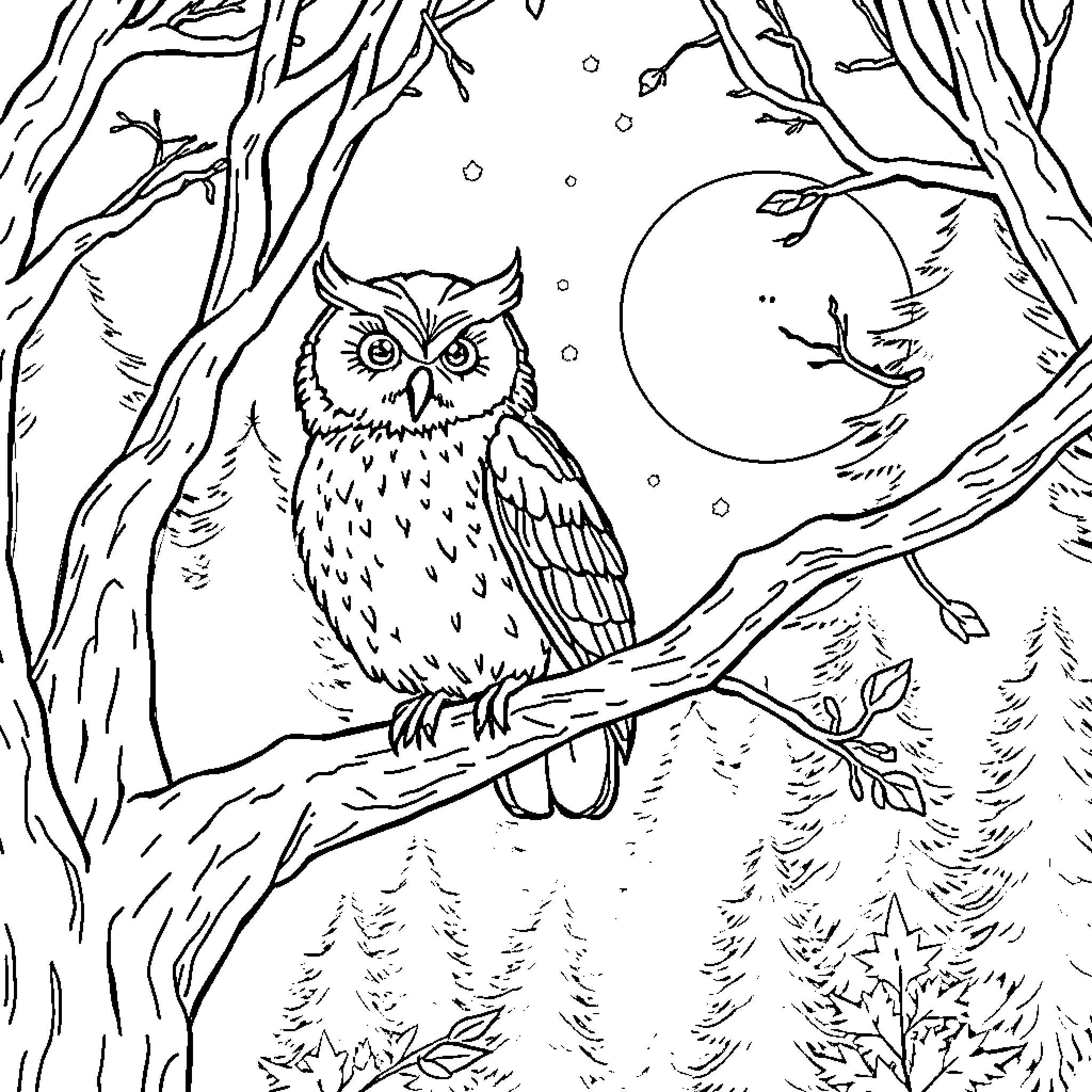 Owl watching the snowy forest at night Coloring Page (free black-and-white line drawing printable PDF for all, from beginners to advanced learners, including children, teens, adults, and seniors)