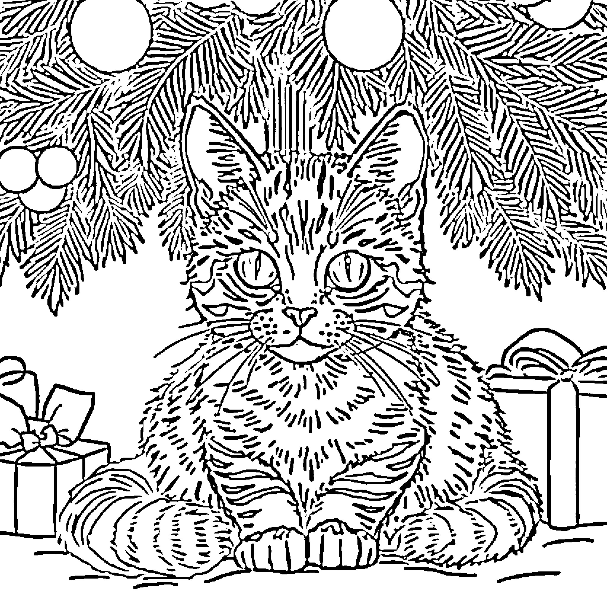 Cat in Christmas scene with pine branches and gifts Coloring Page (free black-and-white line drawing printable PDF for all, from beginners to advanced learners, including children, teens, adults, and seniors)