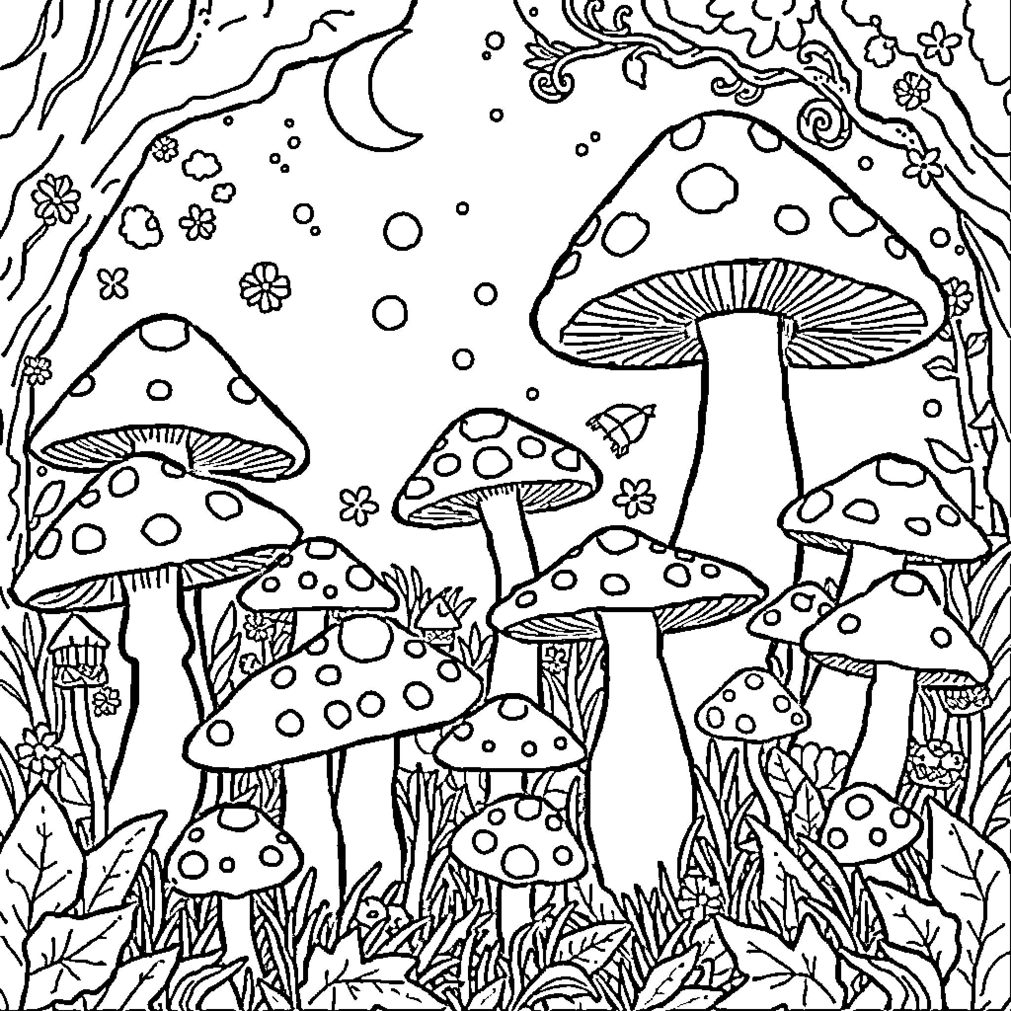 Mushroom Wonderland with Dazzling Patterns Coloring Page (free black-and-white line drawing printable PDF for all, from beginners to advanced learners, including children, teens, adults, and seniors)