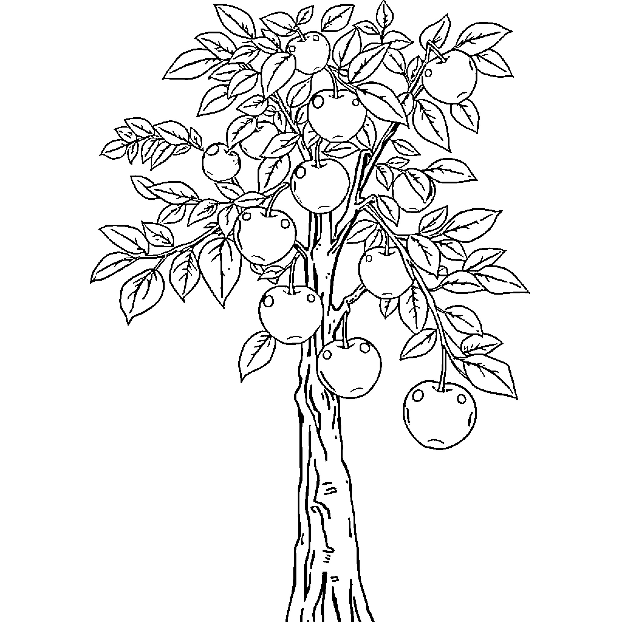 Tree with abundant fruit and foliage Coloring Page (free black-and-white line drawing printable PDF for all, from beginners to advanced learners, including children, teens, adults, and seniors)