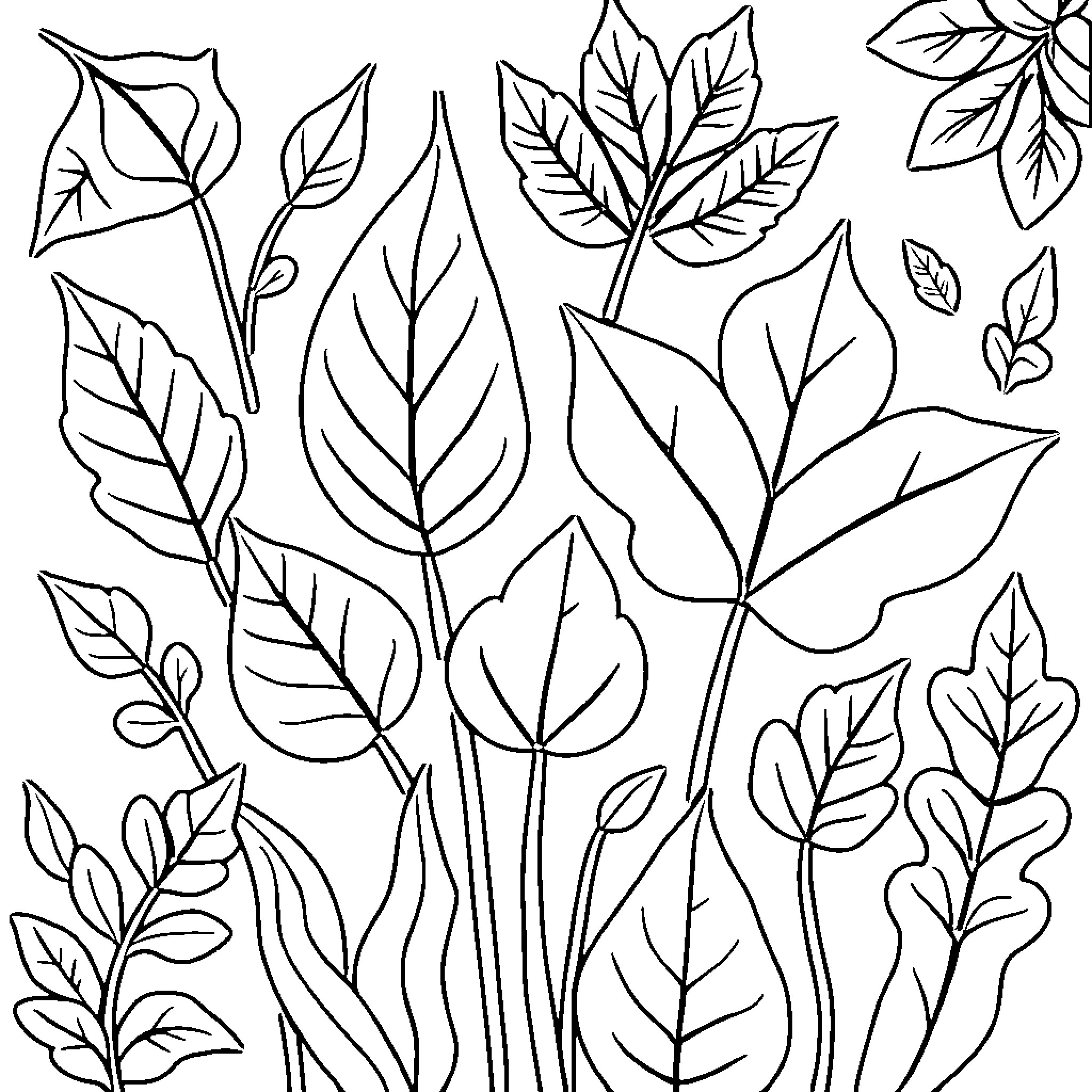 Leaf Shapes and Patterns in Nature Coloring Page (free black-and-white line drawing printable PDF for all, from beginners to advanced learners, including children, teens, adults, and seniors)