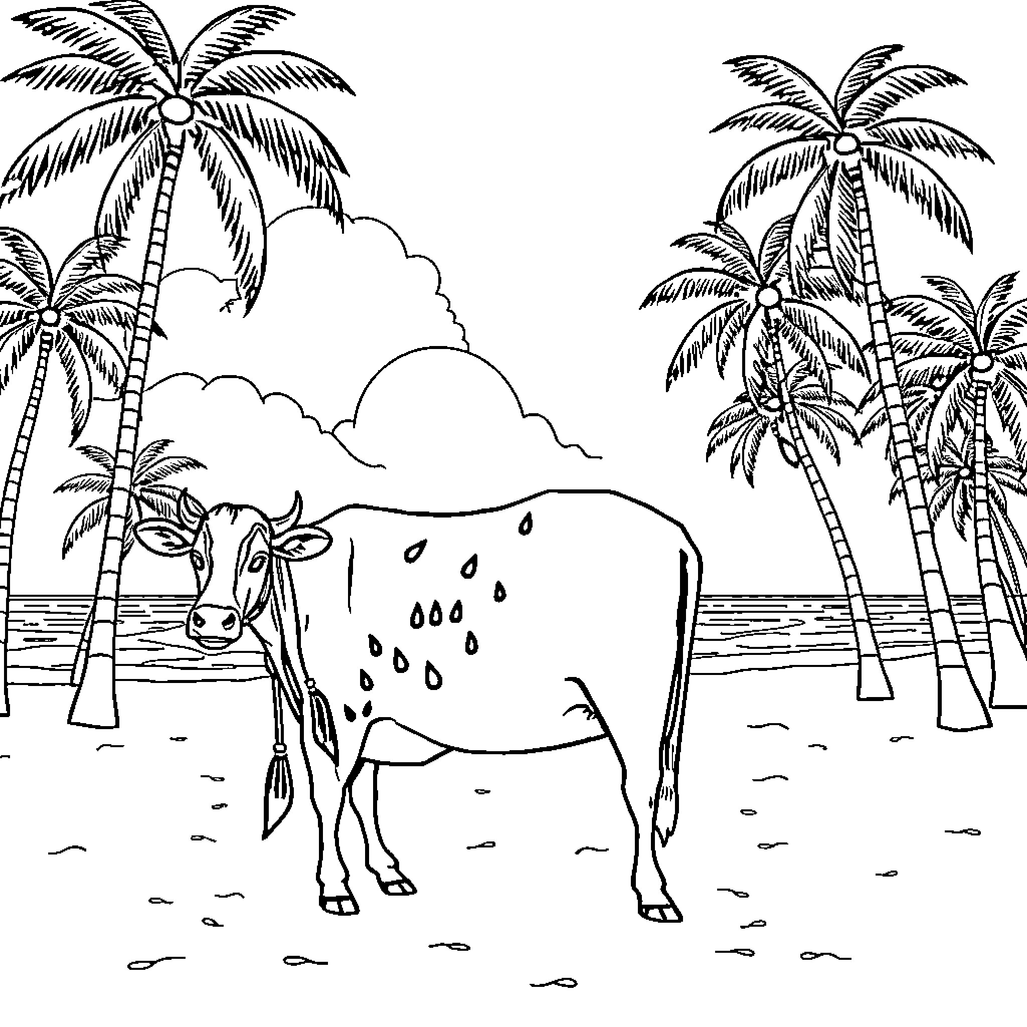 Cow standing in tropical beach scene Coloring Page (free black-and-white line drawing printable PDF for all, from beginners to advanced learners, including children, teens, adults, and seniors)