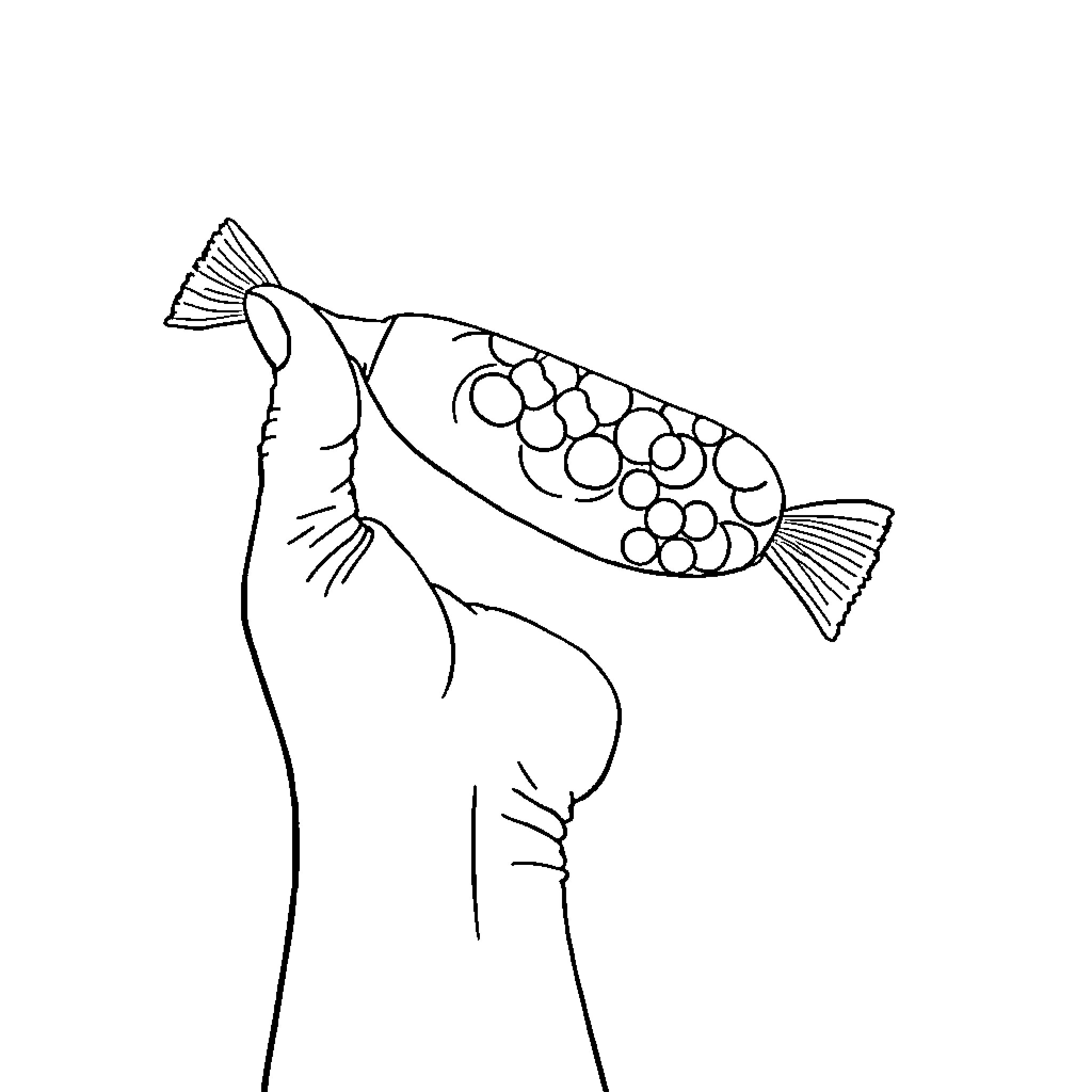 Hand-drawn sketch of whimsical fish Coloring Page (free black-and-white line drawing printable PDF for all, from beginners to advanced learners, including children, teens, adults, and seniors)