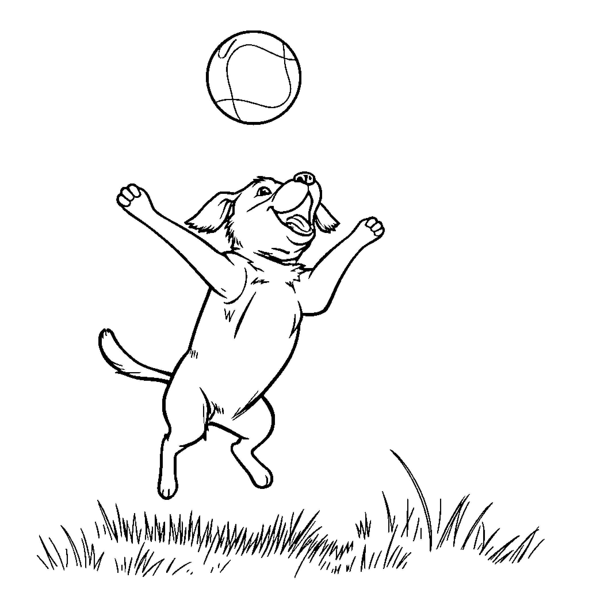 Dog jumping happily to catch a ball Coloring Page (free black-and-white line drawing printable PDF for all, from beginners to advanced learners, including children, teens, adults, and seniors)