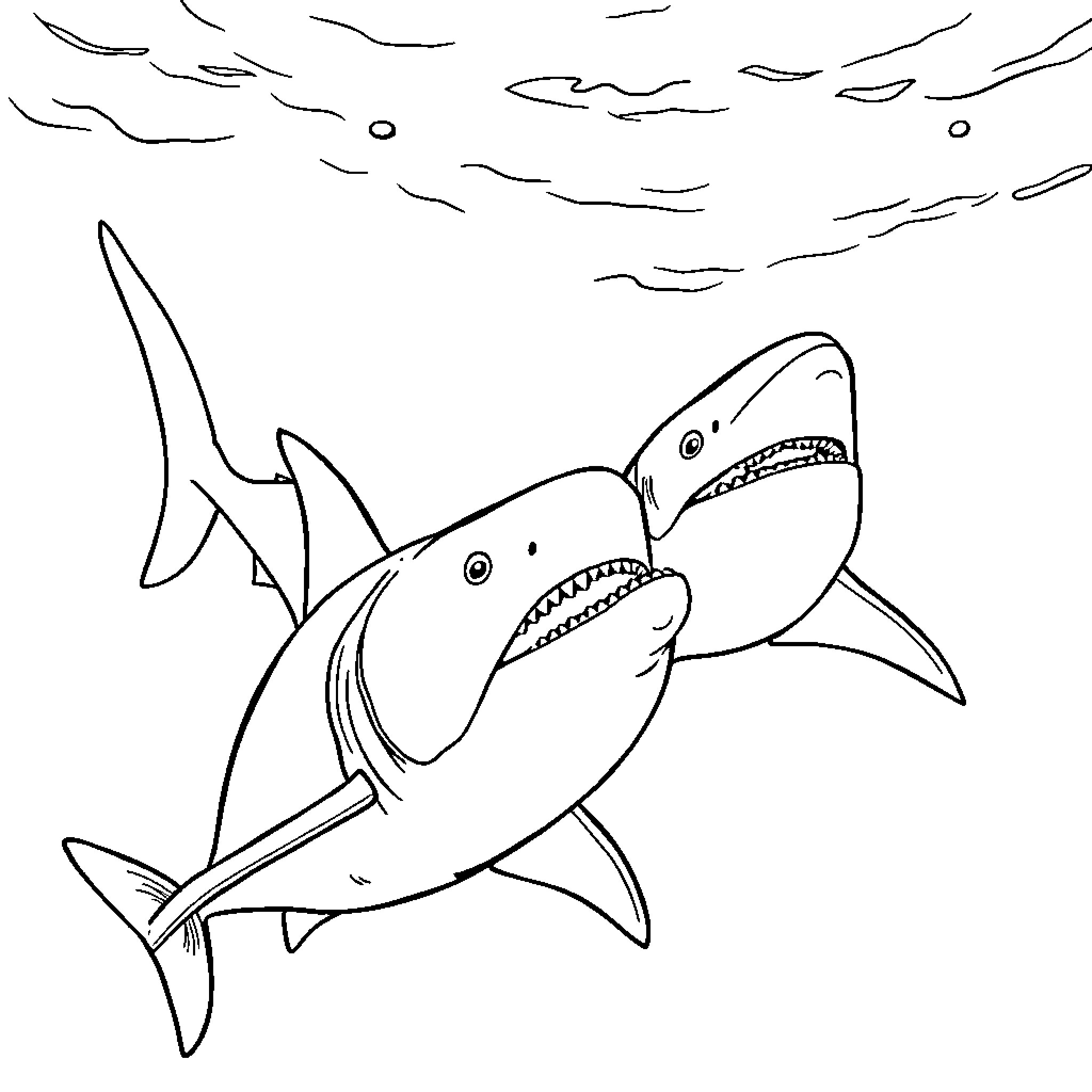 Shark chasing prey in the ocean Coloring Page (free black-and-white line drawing printable PDF for all, from beginners to advanced learners, including children, teens, adults, and seniors)